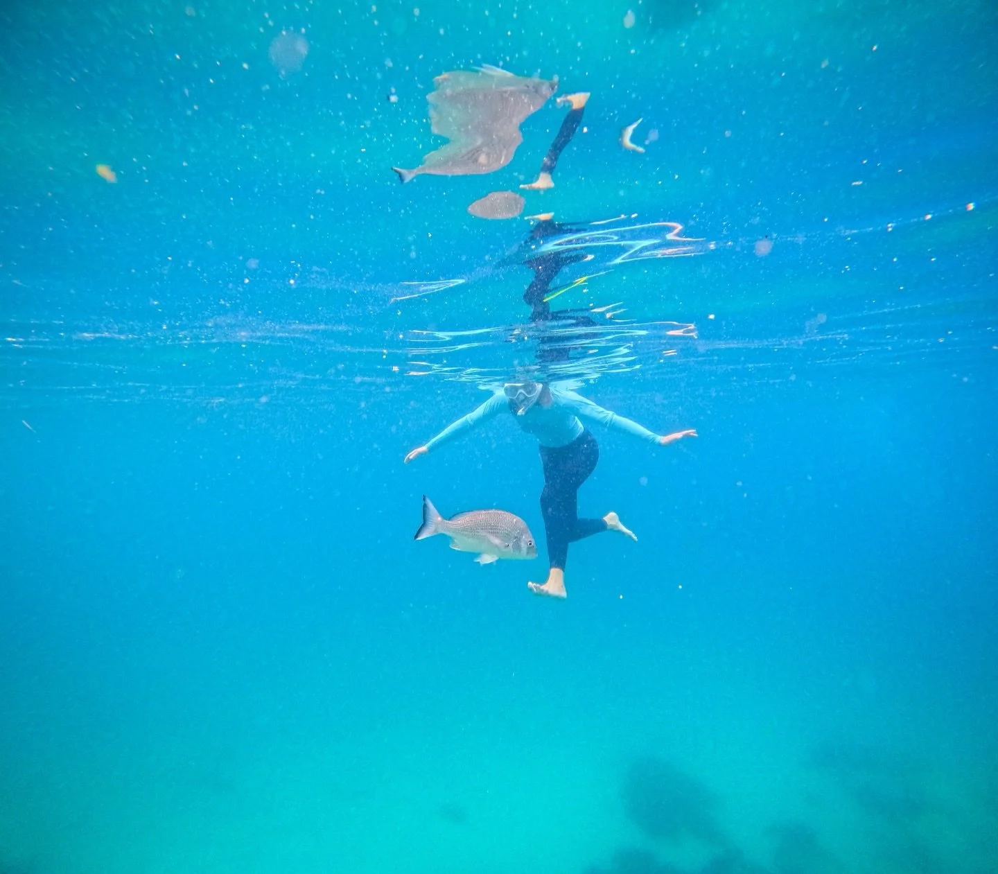 No posing, no script, just a connection with the ocean, with life and with those who share this little piece of paradise.🤿 Because in the end, it&rsquo;s these unexpected moments that stay with us forever. 🩵

#snorkellingshellybeach #hellomanly #fe