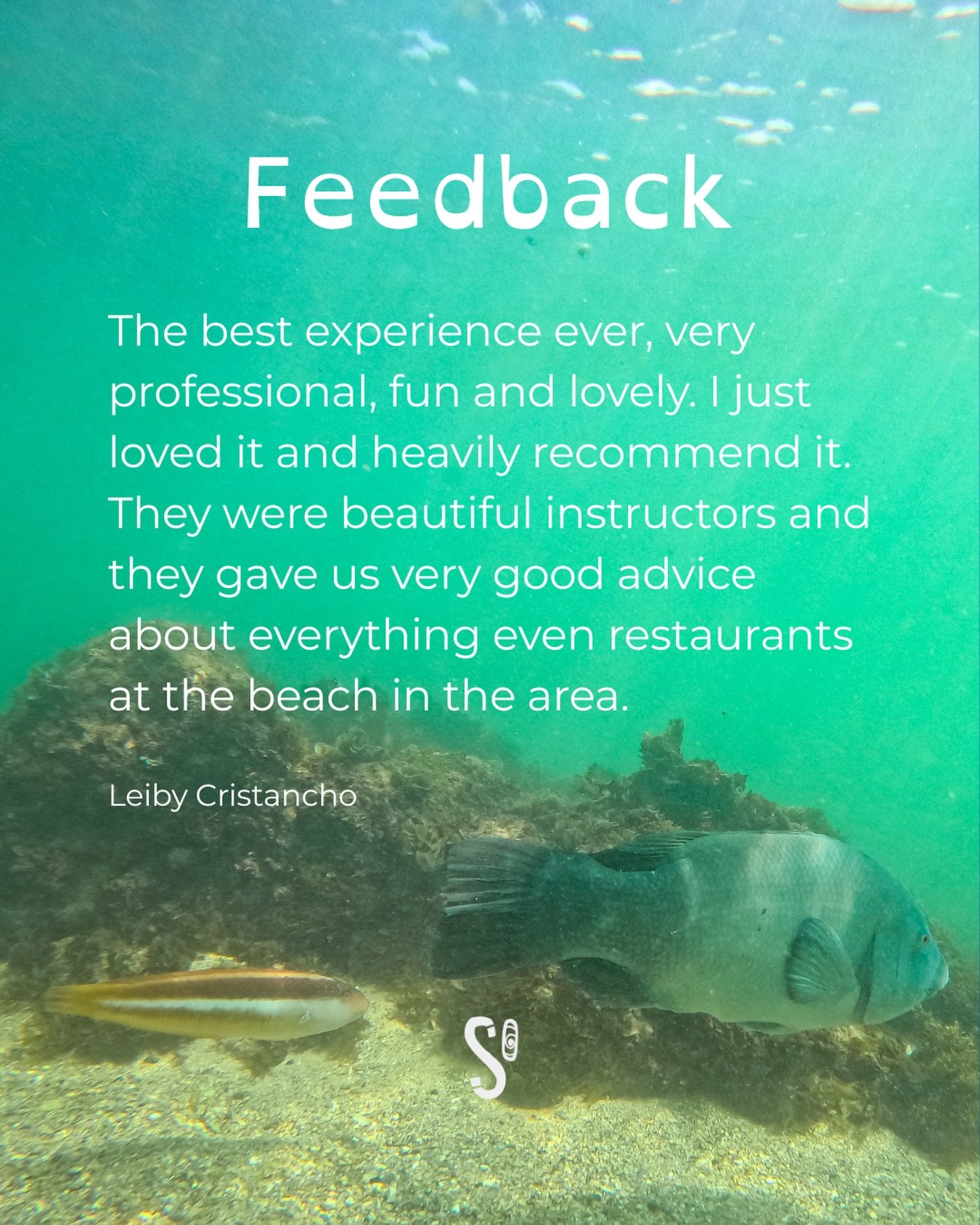 Every snorkelling is a different story.🤿🩵 Receiving feedback like this reminds us why we do what we do: to create real, light and unforgettable ocean experiences.
Thank you for trusting us and living this moment with us. 🐠🌊

#snorkellingshellybea