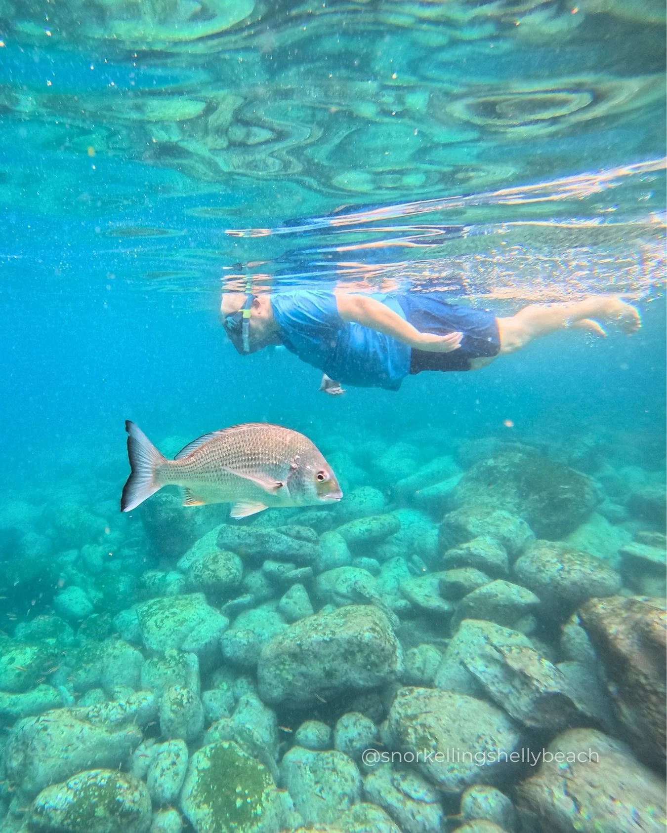 A private experience, just for you. 🩵🐠 No rush, no crowds, just your pace.

Our One on One Tour is for those who want to truly connect with the ocean, with full attention, safety and every detail tailored to you.

✉️ Send us a DM to book.

#snorkel