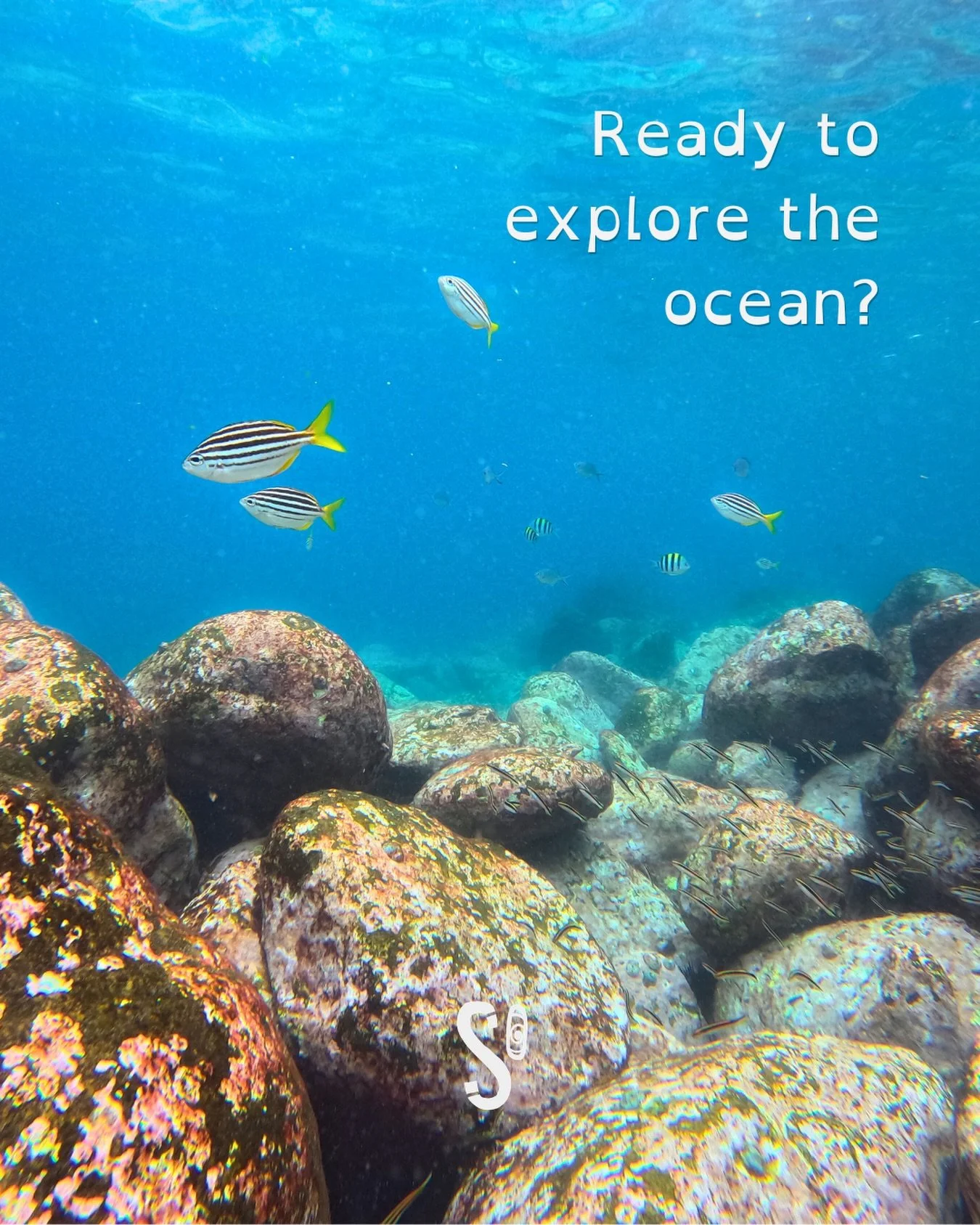 Beneath the surface, there&rsquo;s a whole new world waiting for you.🌊 A place full of life, colors and moments you&rsquo;ll never forget. And the best part? You don&rsquo;t need to be an expert to experience it.

With the right guidance, anyone can