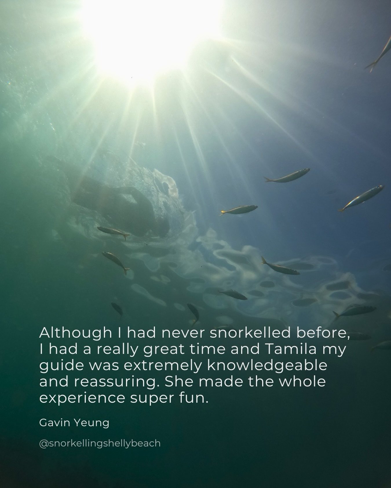Your feedback means the world to us.🩵 If you enjoyed your snorkelling experience at Shelly Beach, we&rsquo;d love to hear from you.🤿 Your Google review helps us grow and helps future visitors discover the beauty of our ocean.

Thank you for being p