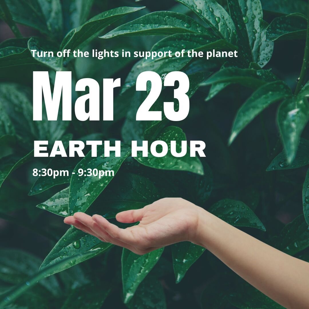 Started in 2007 by WWF and partners as a symbolic lights-out event in Sydney, Earth Hour is a way to shine the spotlight on climate change and inspire people to act individually, and collectively advocate for urgent change to protect our planet. 

Jo