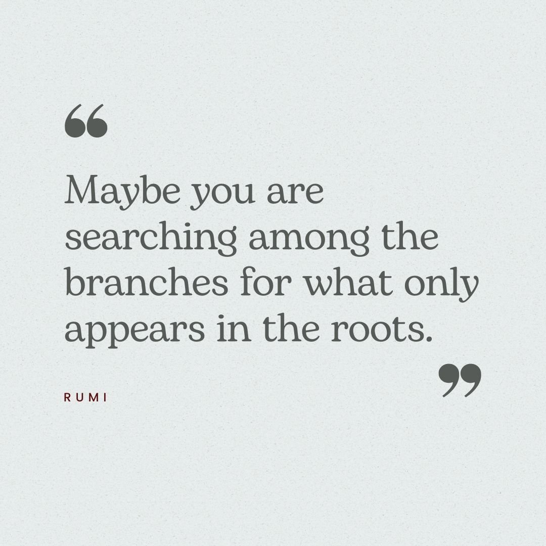 A gentle reminder that many answers to our questions are closer than we think. There is often a need to try and trim the branches when the real need is to nourish the roots. May you be well and may you be grounded :)