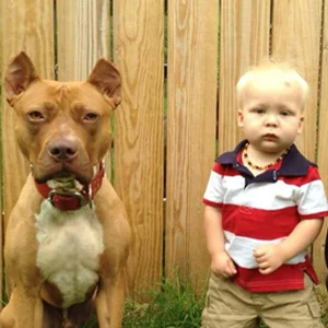 Linus and accomplice