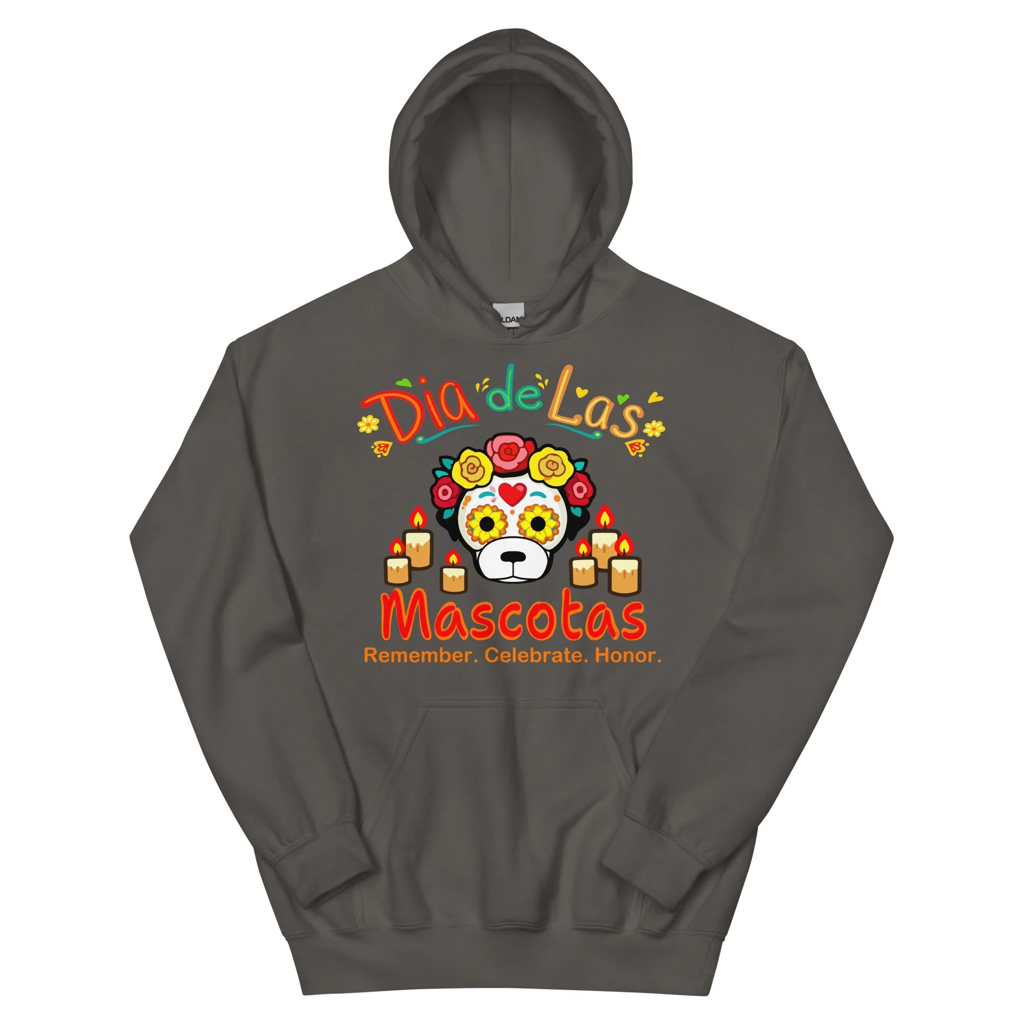 unisex-heavy-blend-hoodie-charcoal-front-6a82106c9de9e.jpg