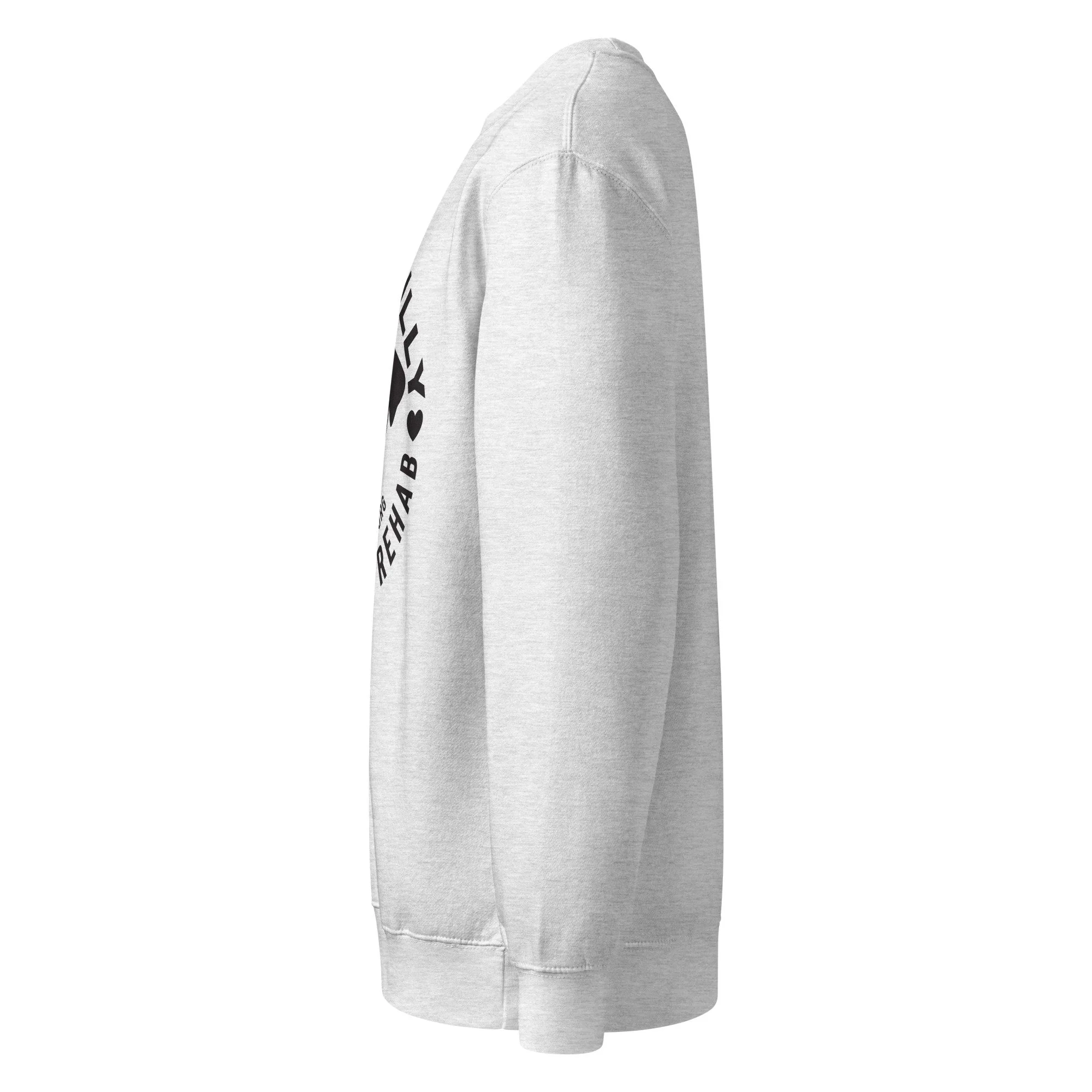 unisex-premium-crew-neck-sweatshirt-heather-grey-left-6a82176bae6d4.jpg