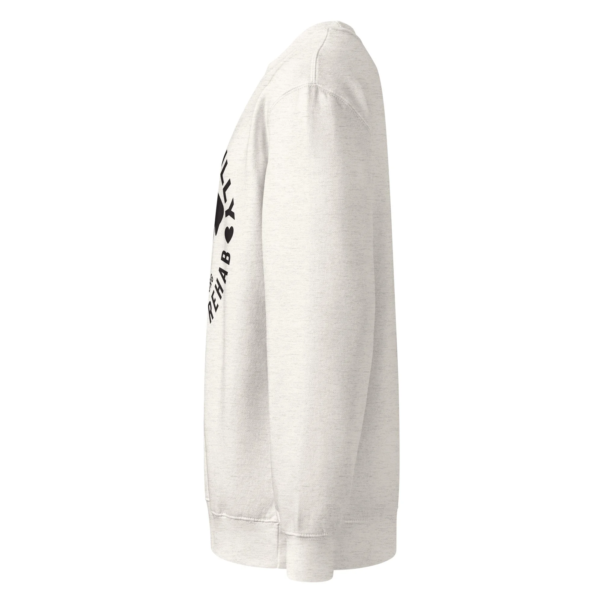 unisex-premium-crew-neck-sweatshirt-oatmeal-heather-left-6a82176baef52.jpg