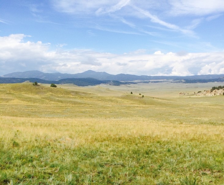 BADGER CREEK RANCH LAND HEALTH WORKSHOP