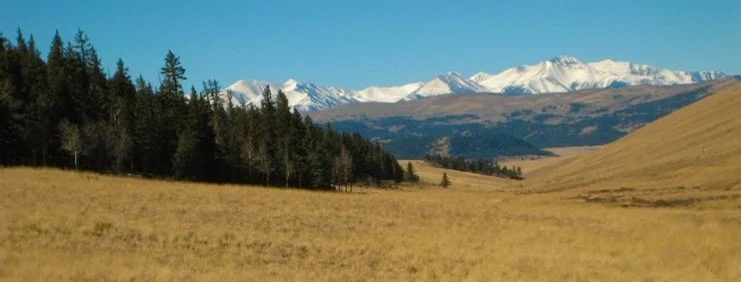 Shadow Work Through the Way of the Horse and Nature - Co-ed Retreat