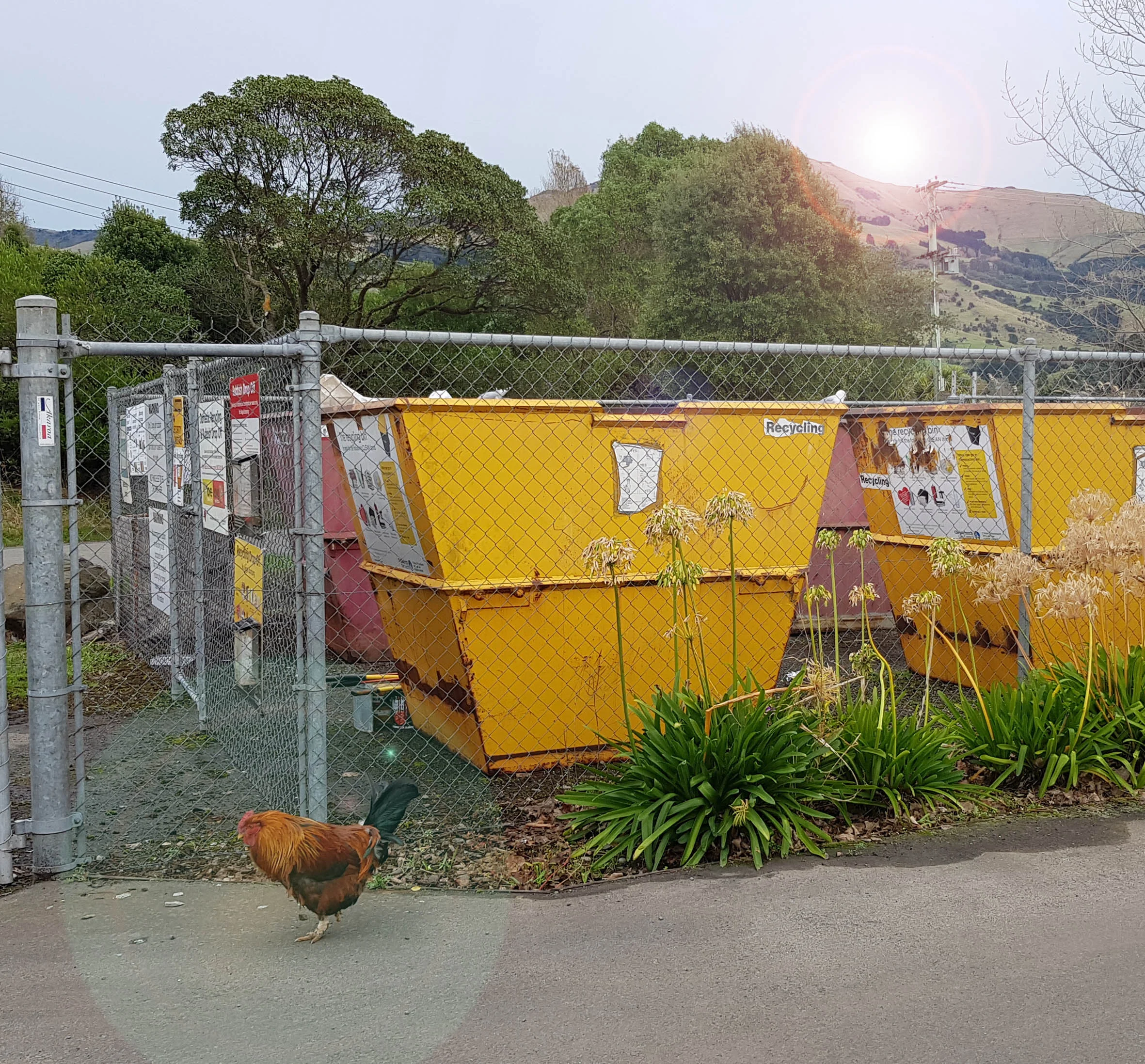 after hours small.jpg