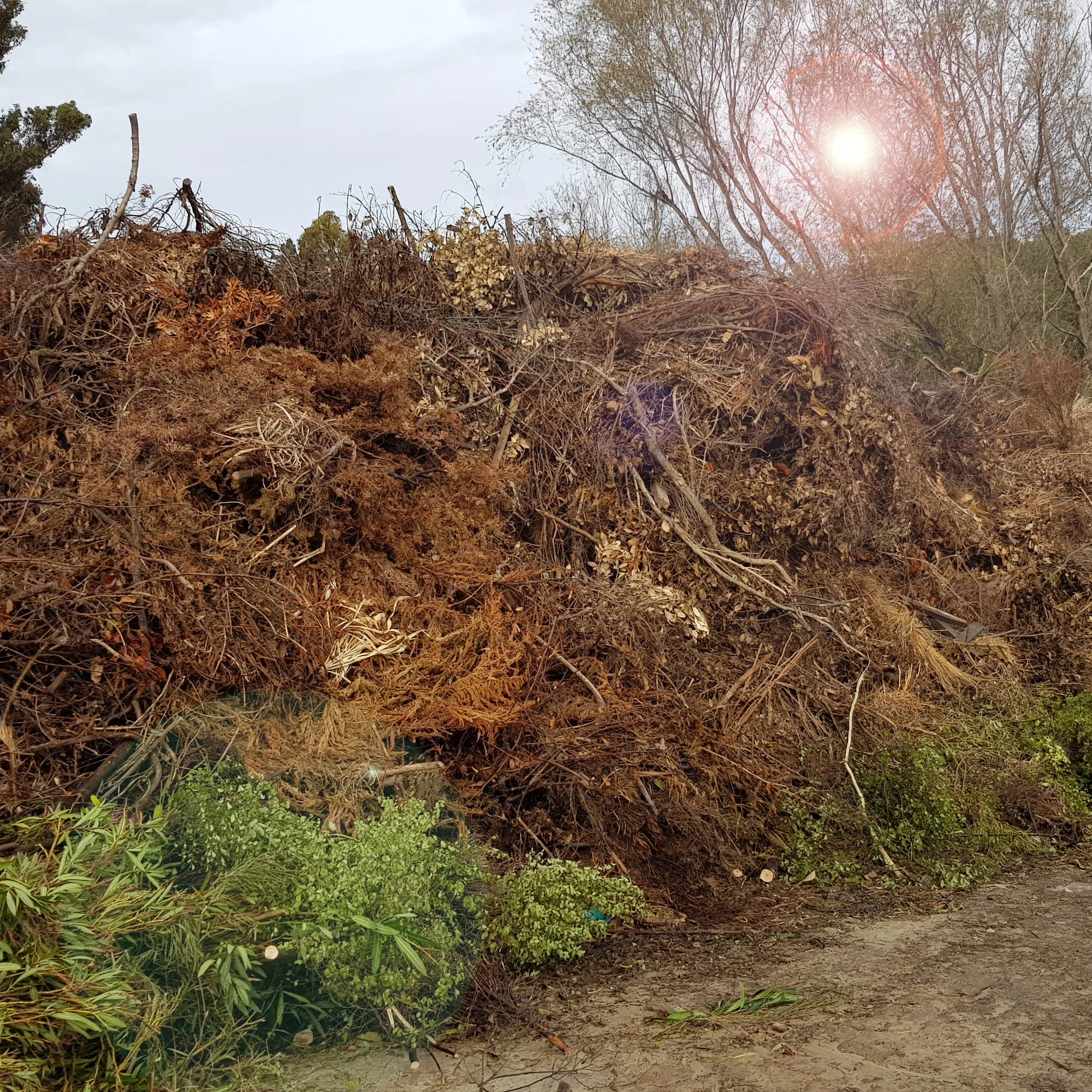 green waste small.jpg