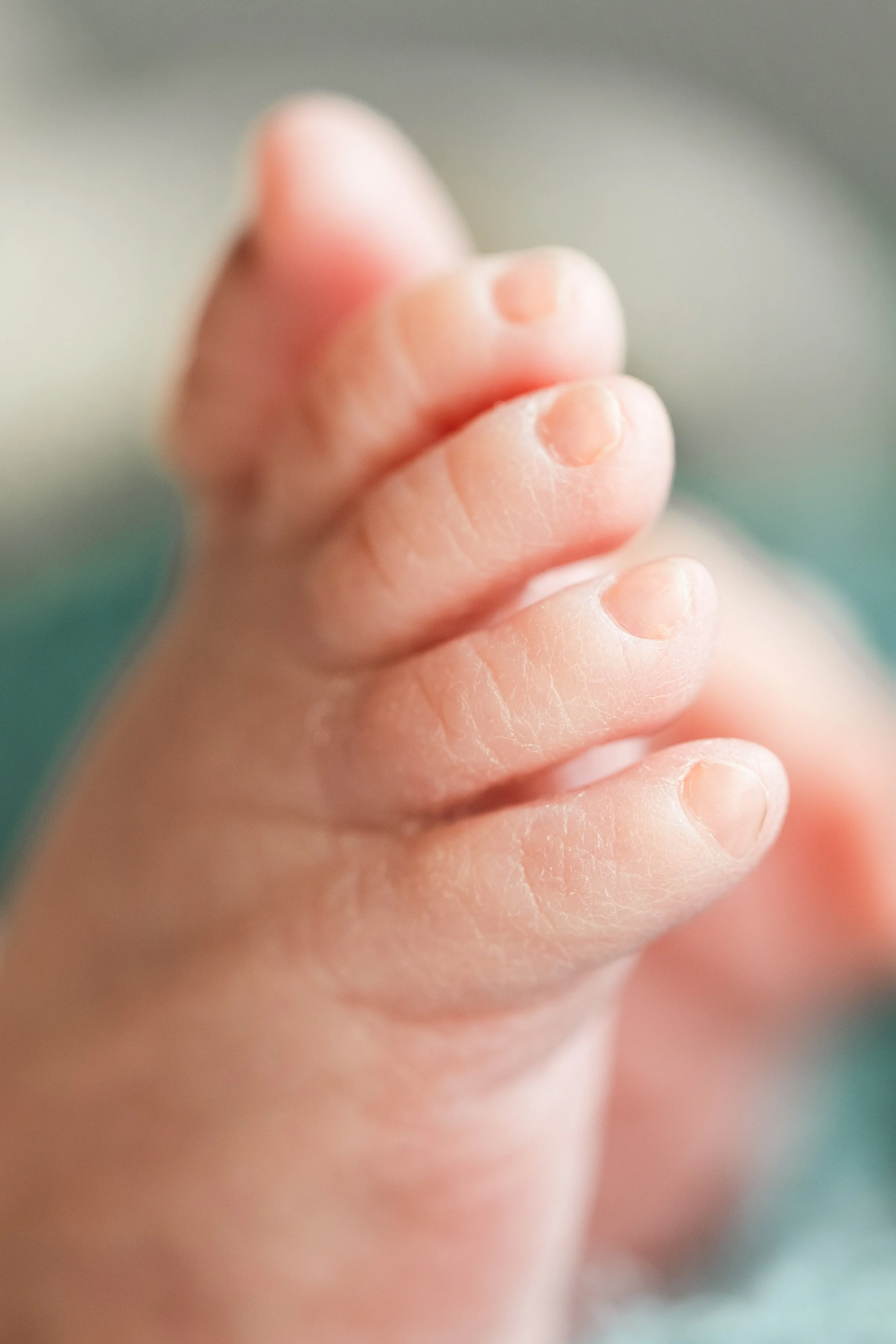 2024.10.19 Santiago-3.jpg