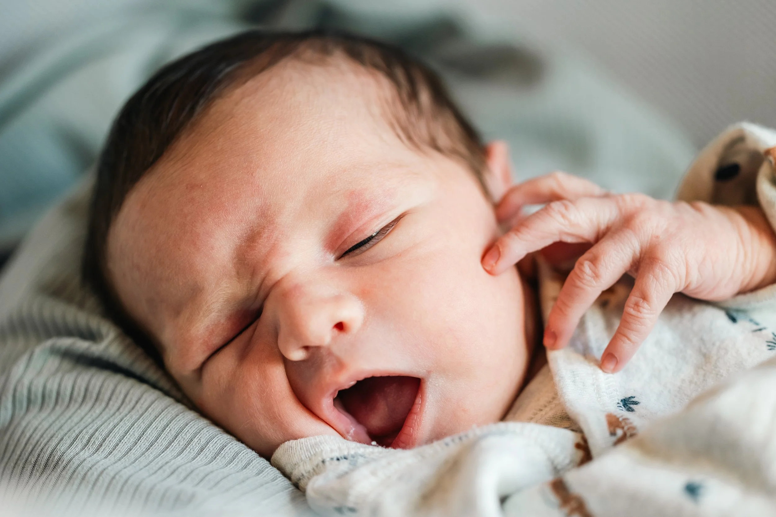 2024.10.19 Santiago-58.jpg