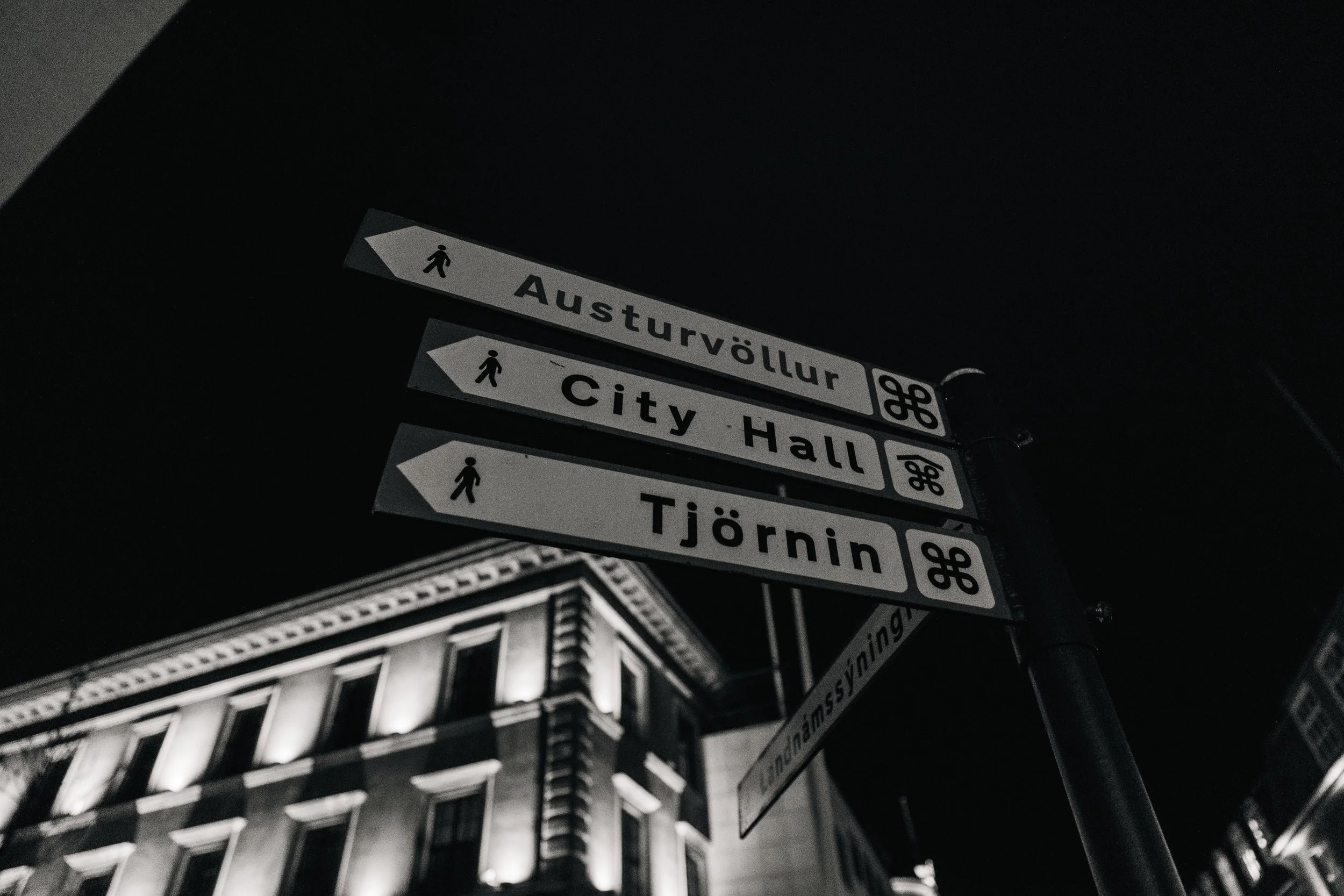 Reykjavik 1-15.jpg