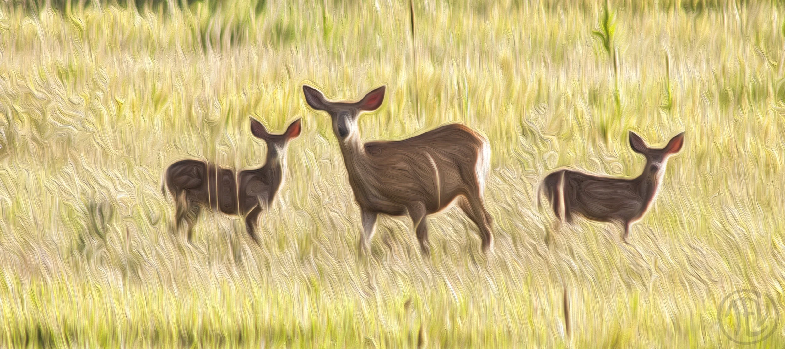JyotiArt#30.jpg