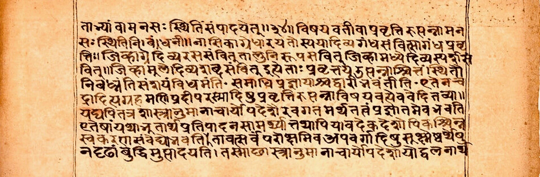 Patanjali's_Yogabhasya,_Sanskrit,_Devanagari_script,_sample_page_f13r.jpg