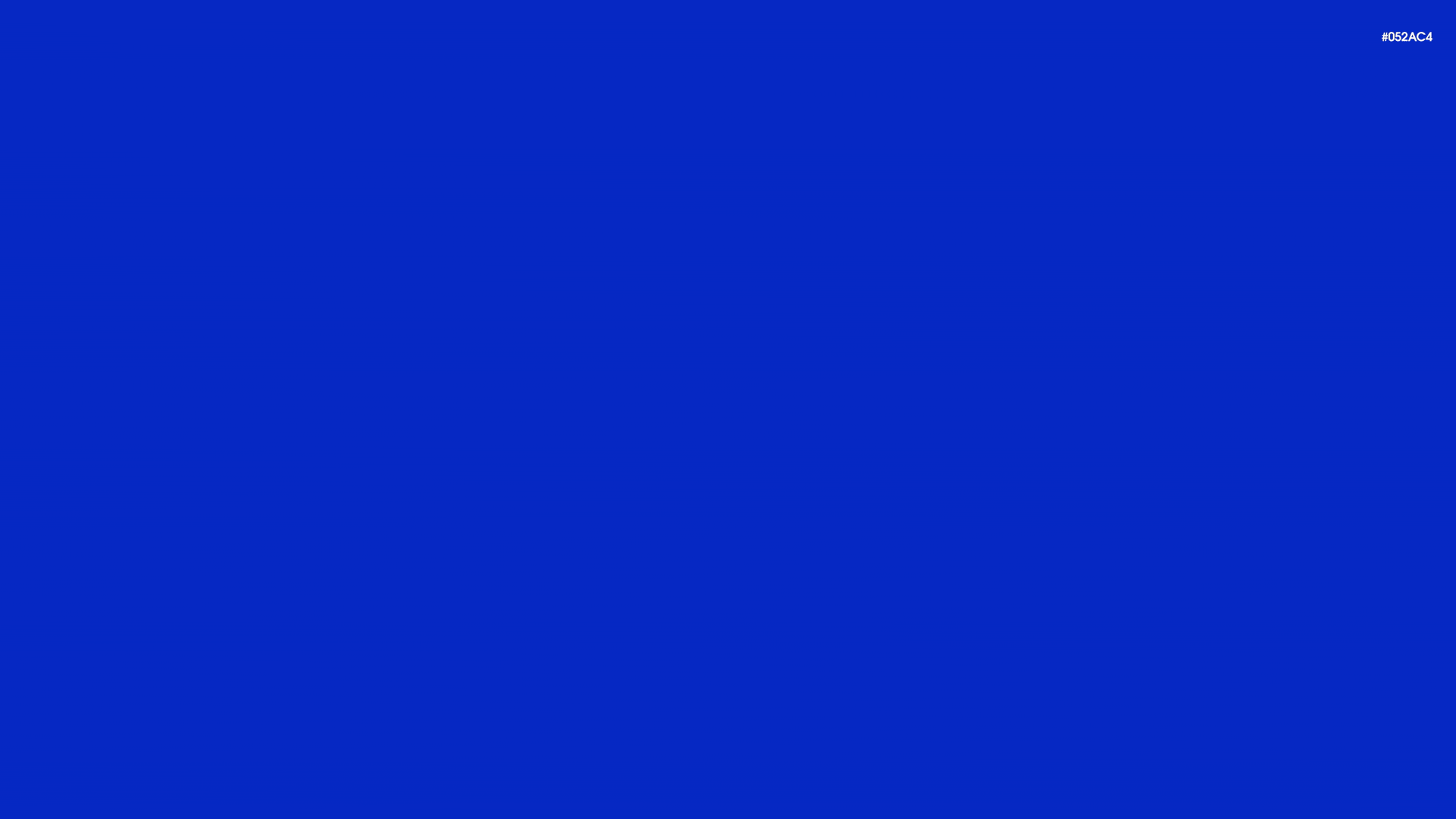 02_NYL_Color_Palette.gif