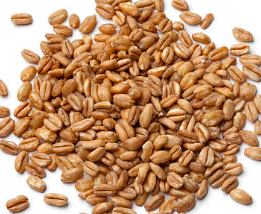 farro.png
