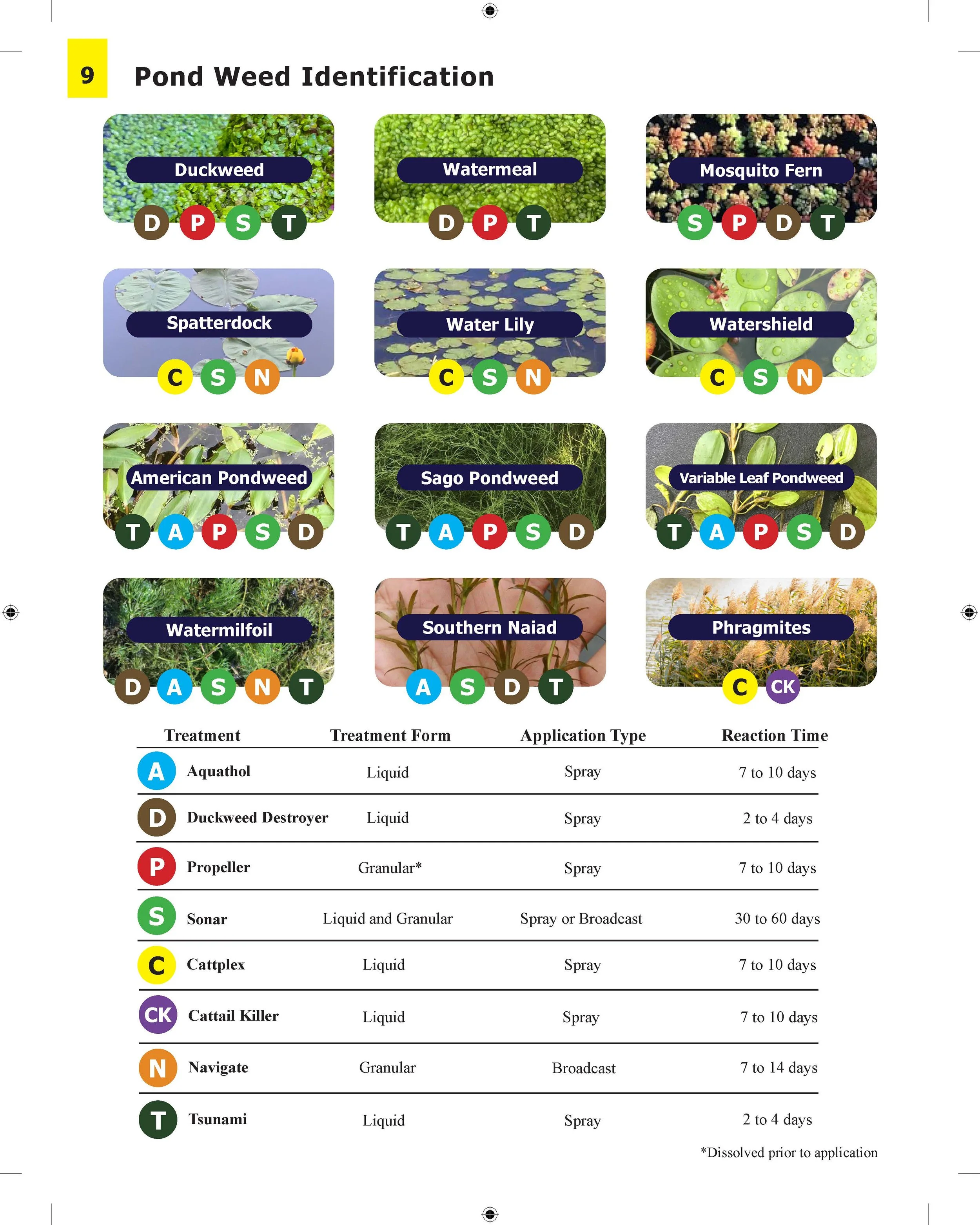 Natural Waterscapes Catalog Pg 10