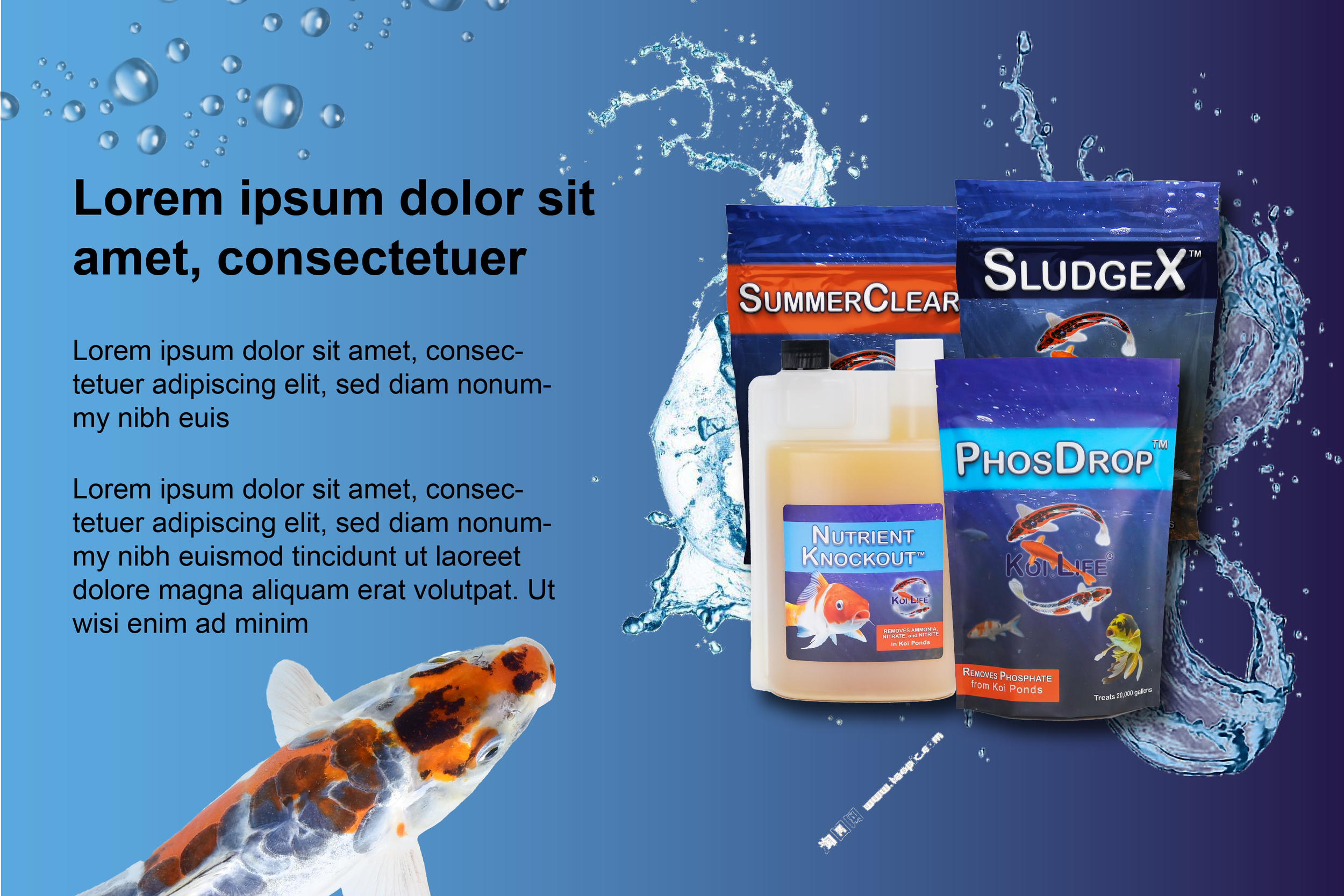 Koi Life Mock Ups-02 (1).png