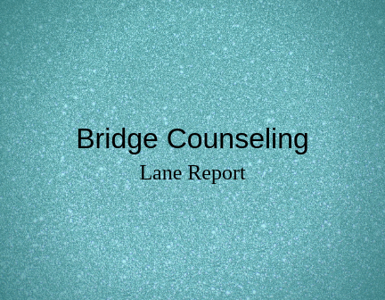 Bridge Counseling &amp; Wellness