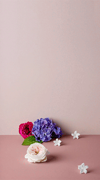 1_2.gif