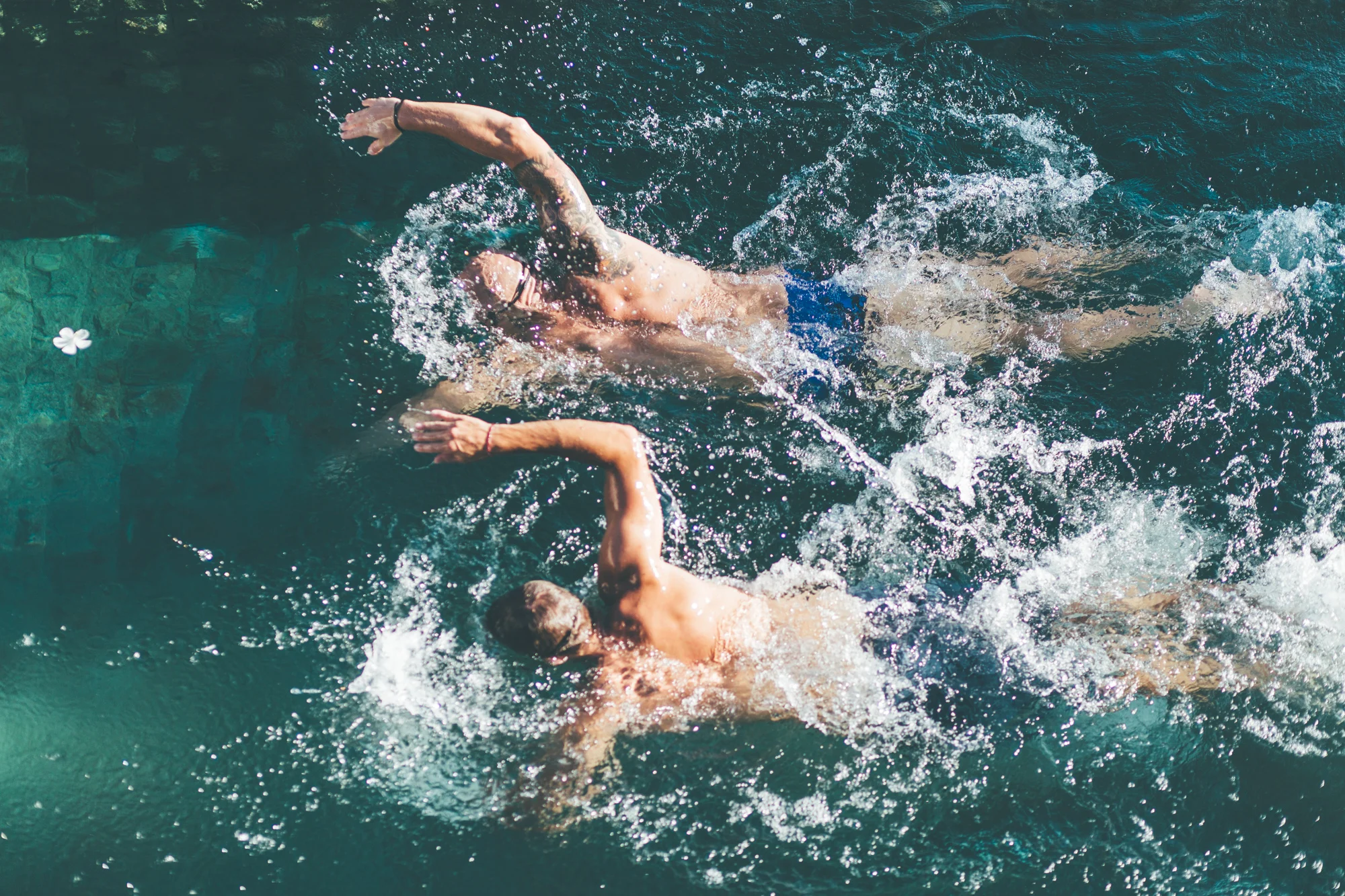 chosen_swimming_with_klim-65