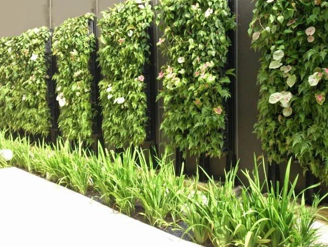 Vertical-Garden-Wall_95e074daa676b6ccb32f179a668683a4 (1).jpg