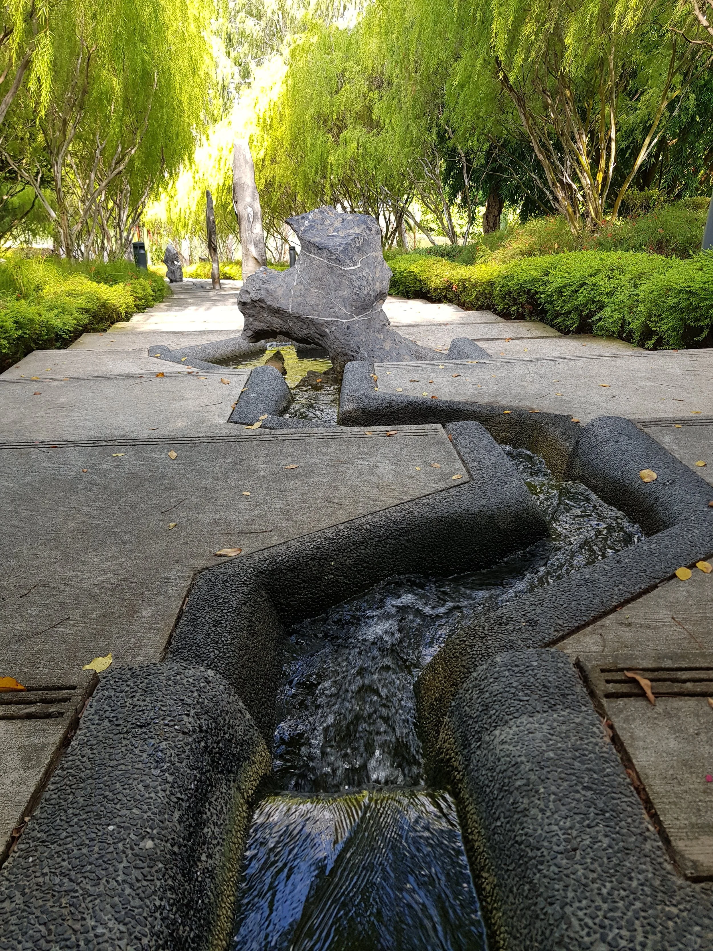 20190301_093319.jpg