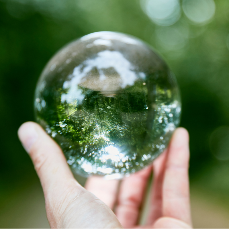 What’s on the Menu in 2026 — 5 Key Food &amp; Nutrition Trends