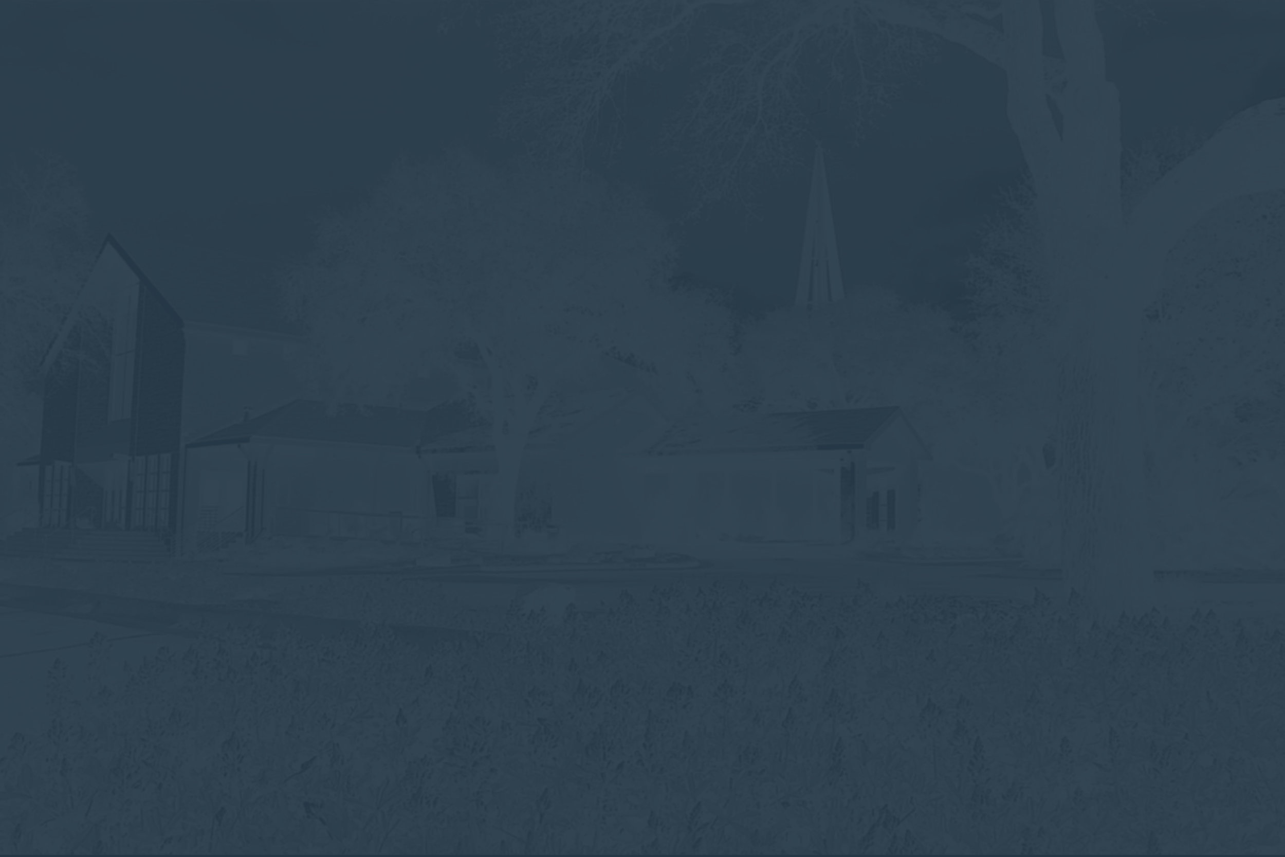 background2.jpg