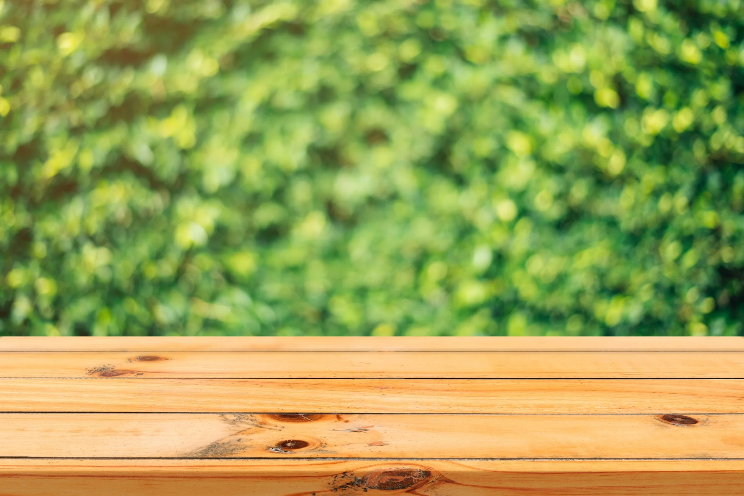backdrop-blur-board-347140.jpg
