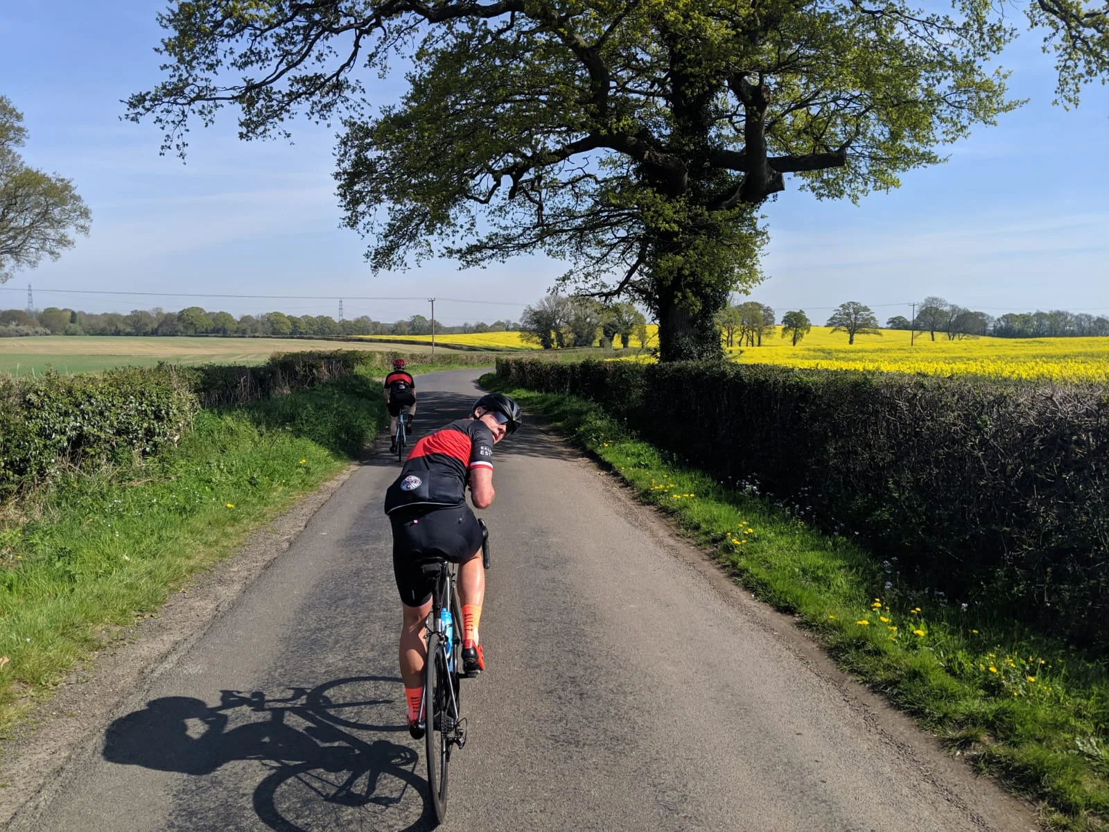 Feel the need for Speed - No.1