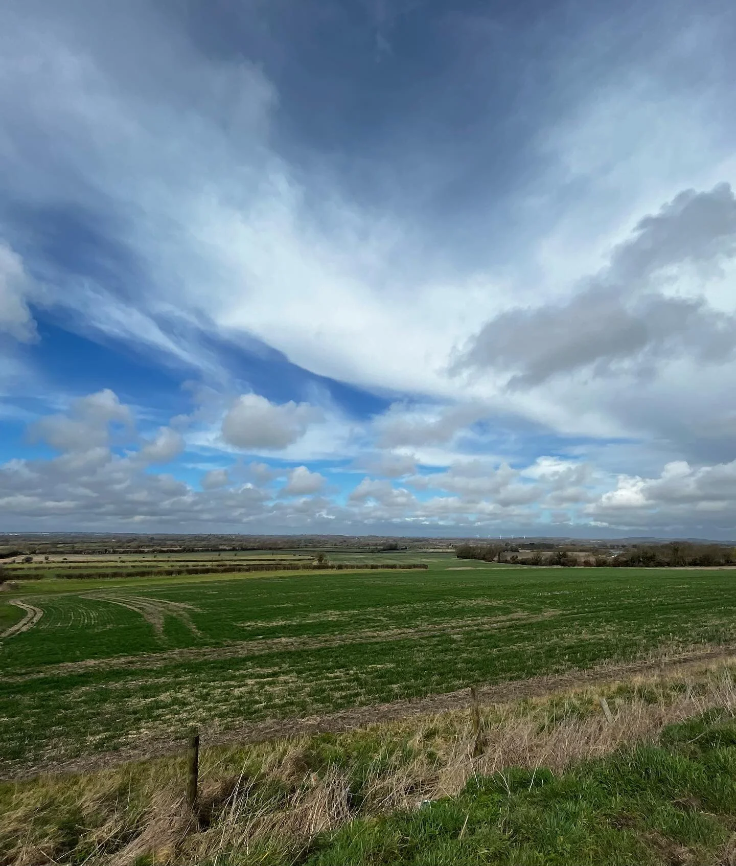 In search of spring.