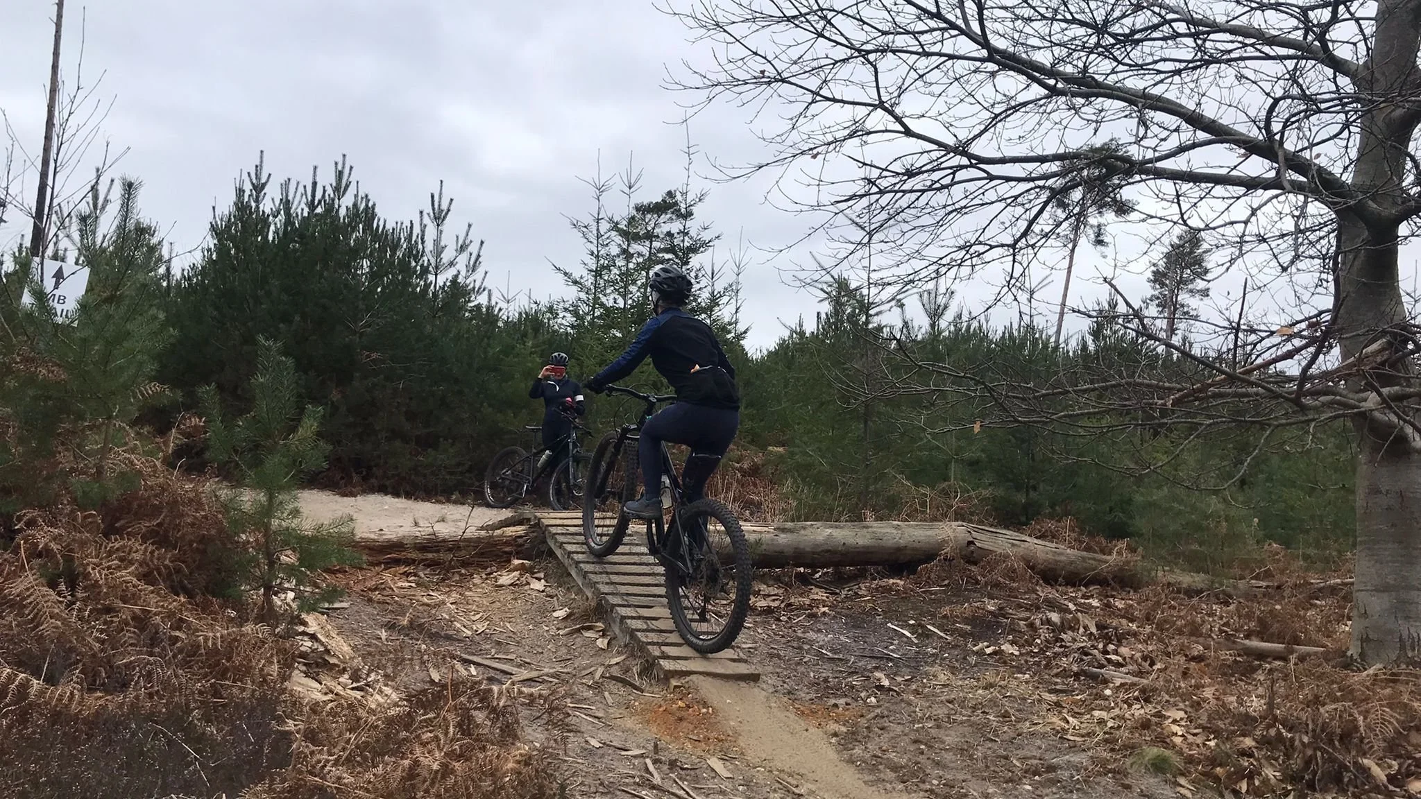 Mountain Biking Swinley — BALHAM CYCLING CLUB
