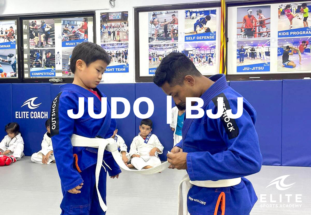 Web Judo.png