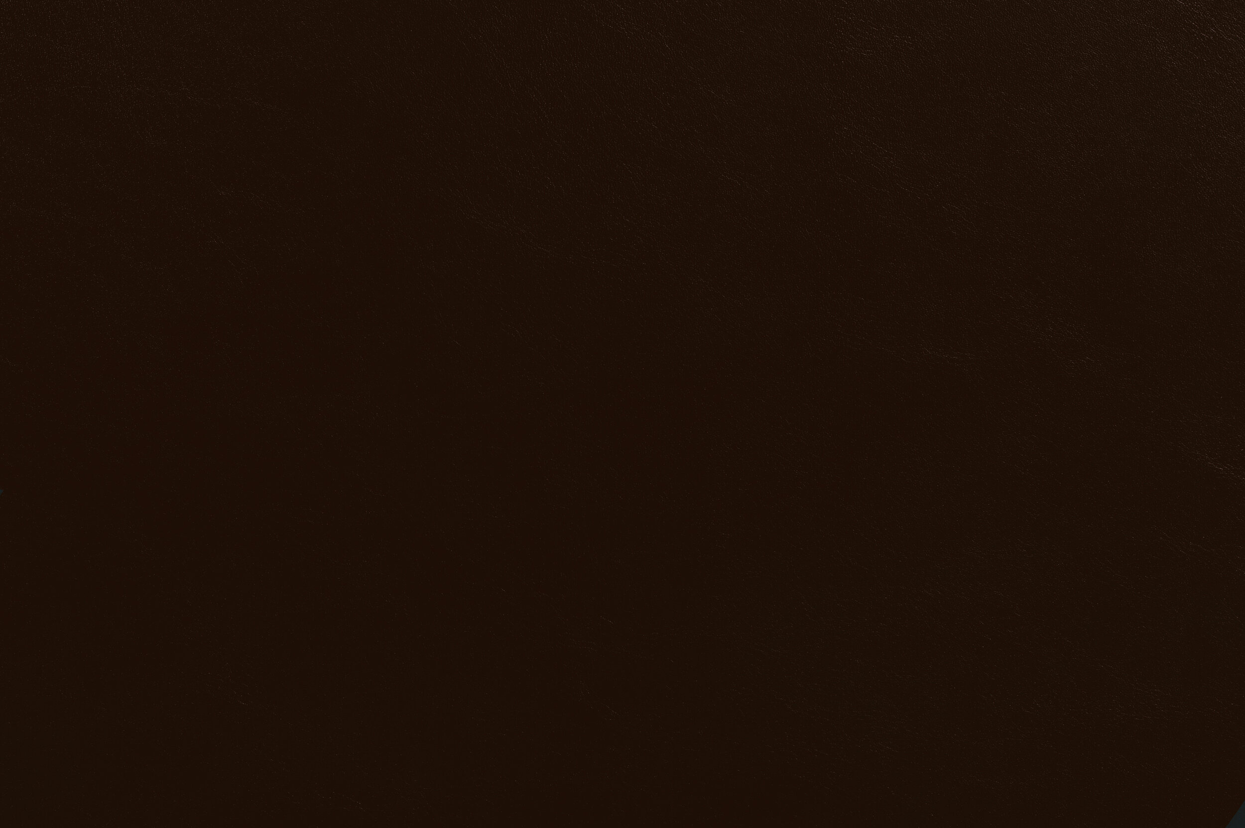 Bang - Boogie on Brown | BAN-03