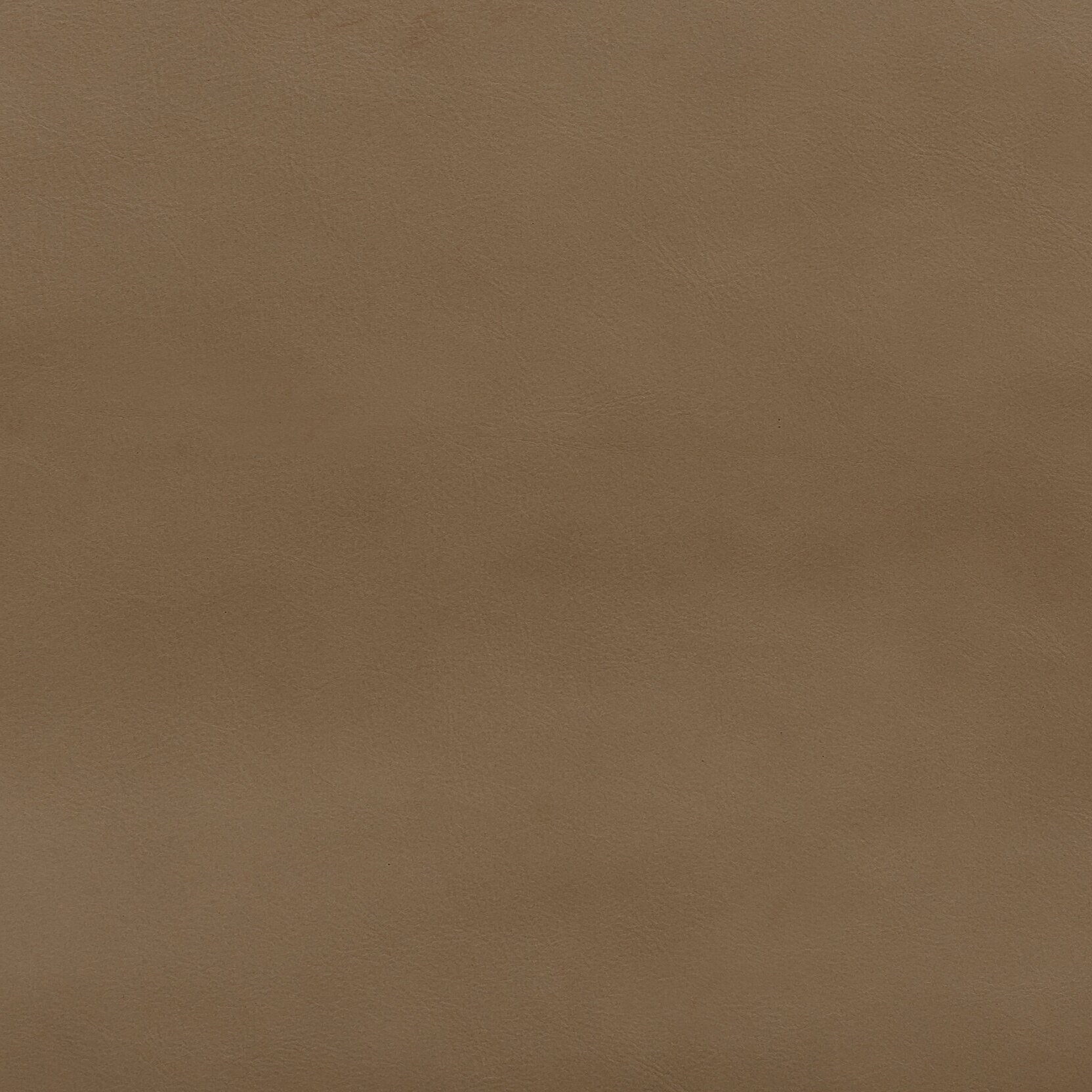 Zisu+Samples_September+2020-5664_5.2_v2.jpg
