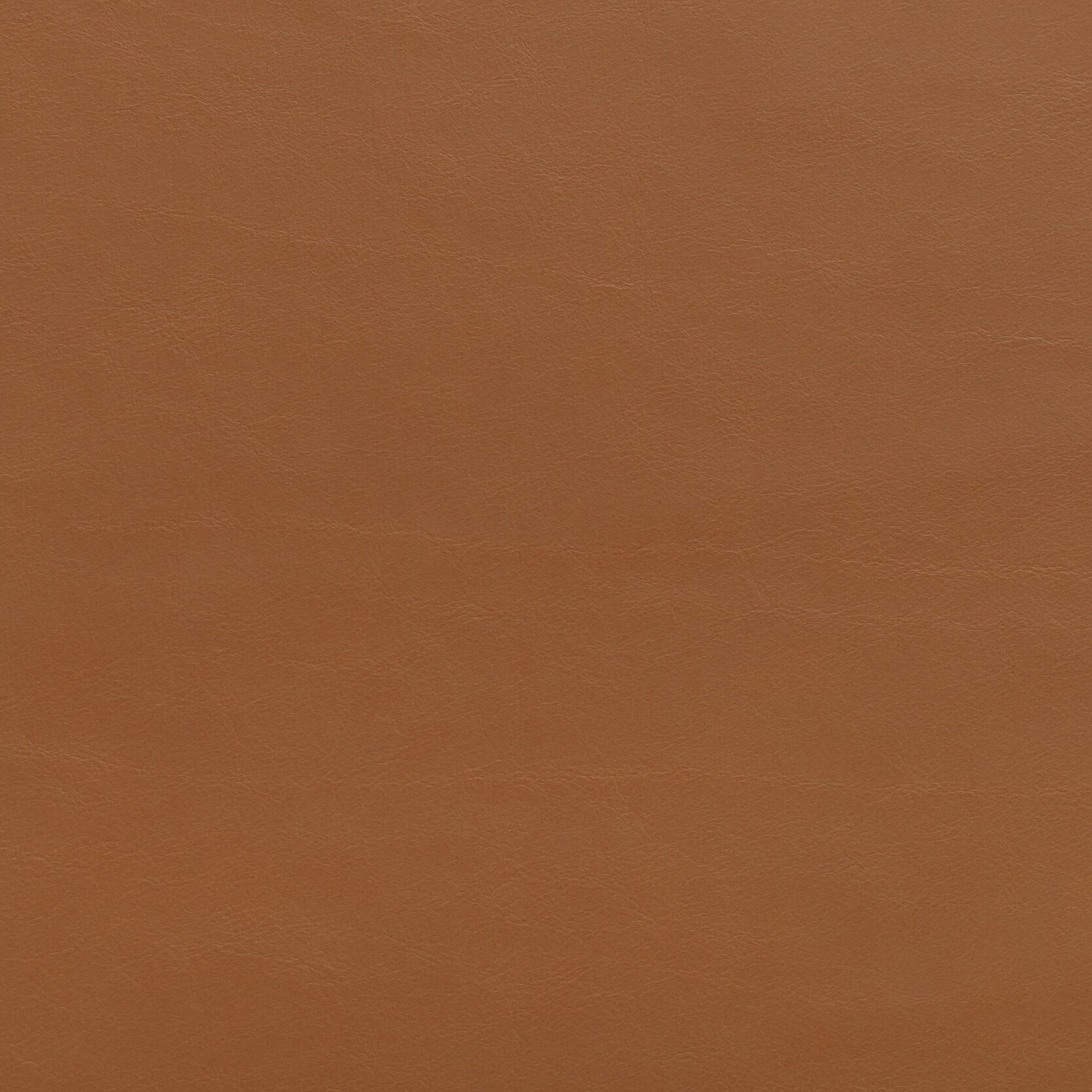 Zisu+Samples_September+2020-5650_5.5_v2.jpg