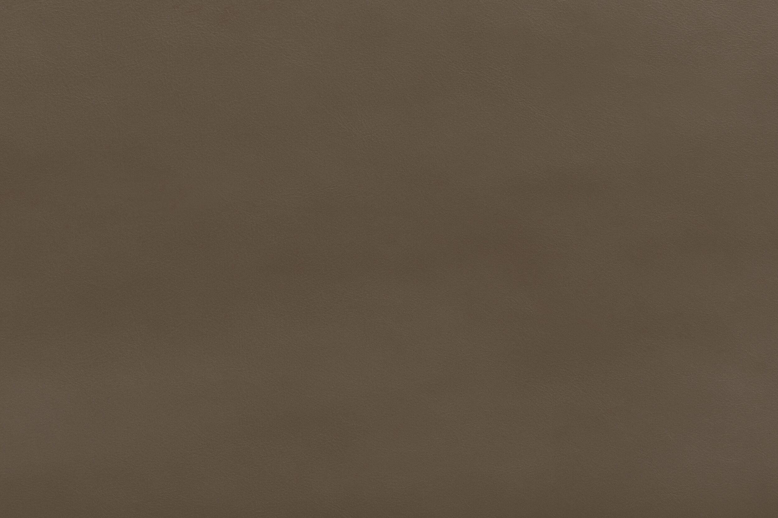 BOOSH - Wild Boar | BOO-13