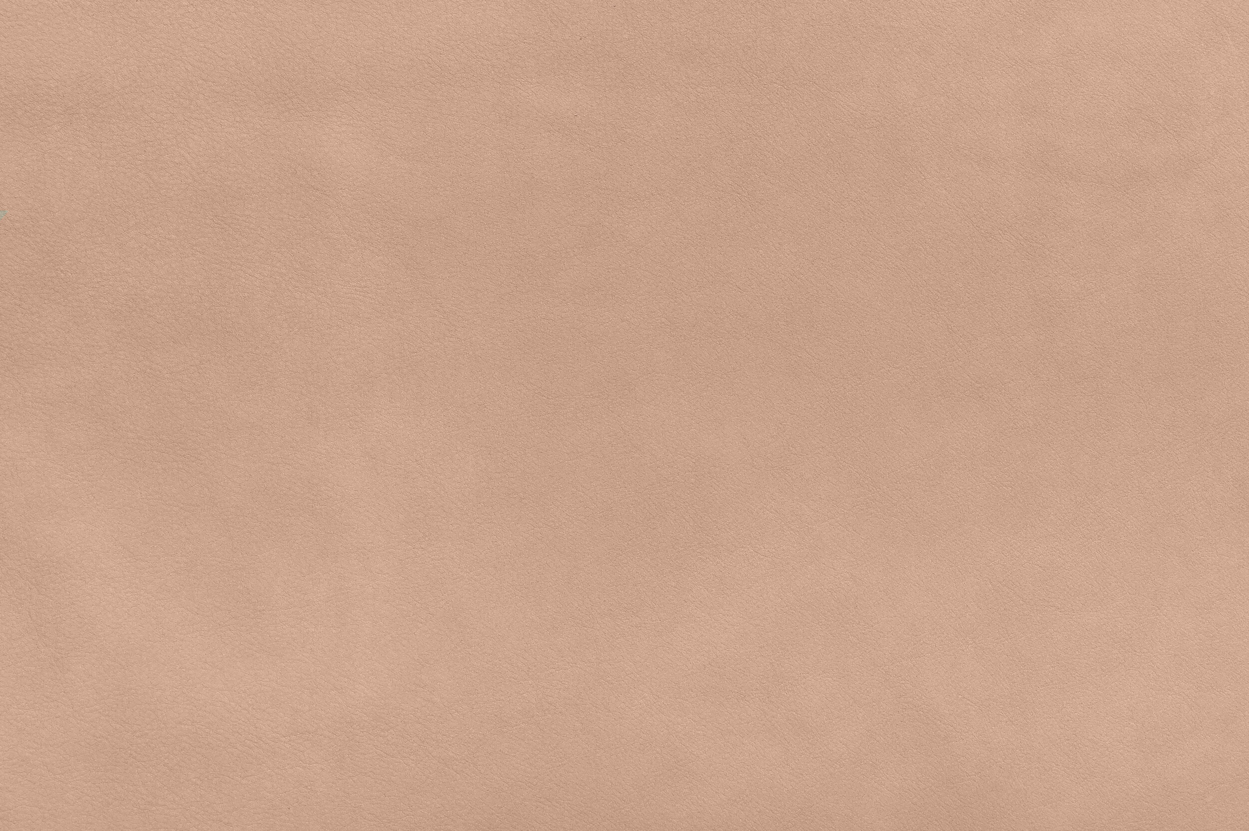 WHAM - Bloom or Bust | WHA-10