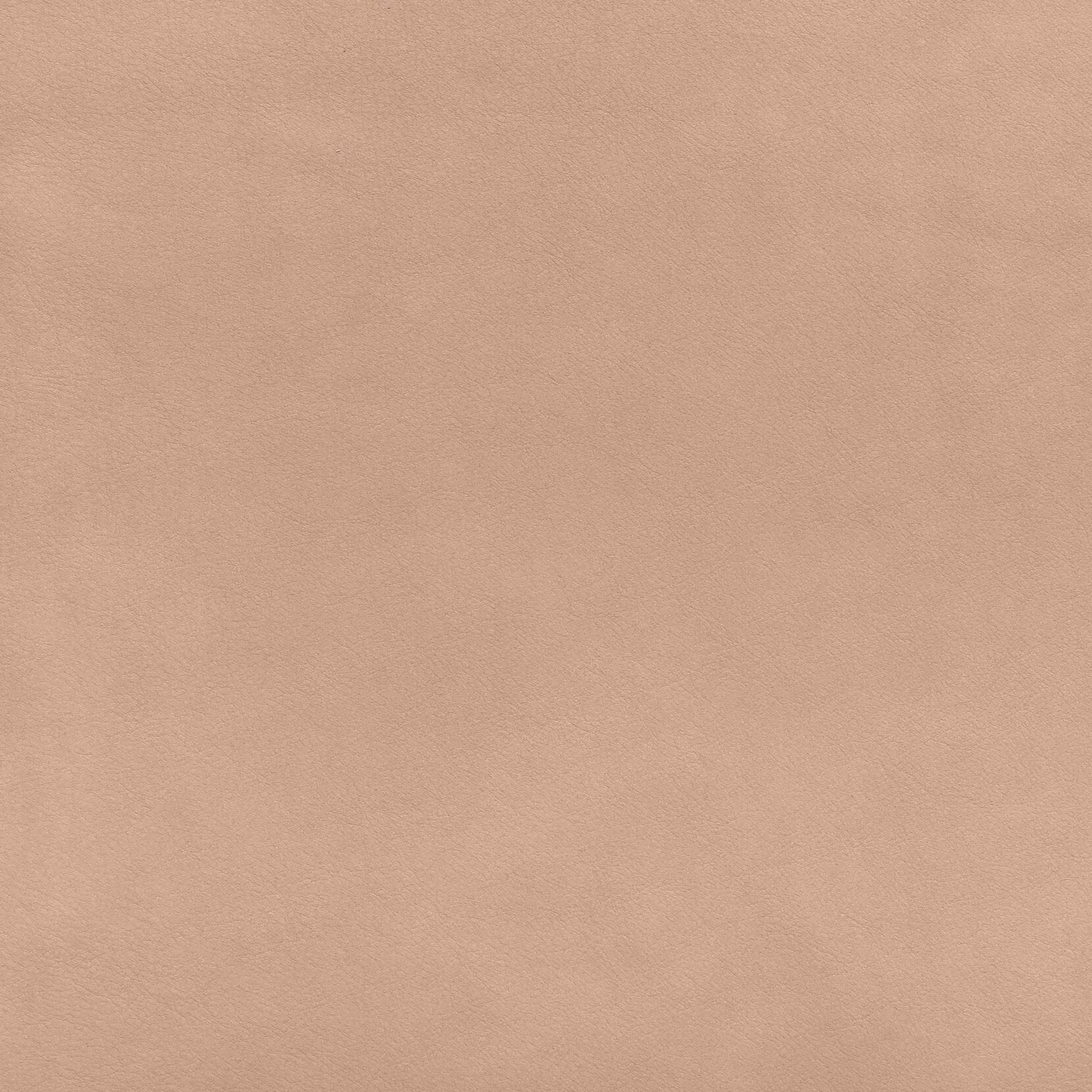 Zisu+Samples_September+2020-5660_6.10_v2.jpg