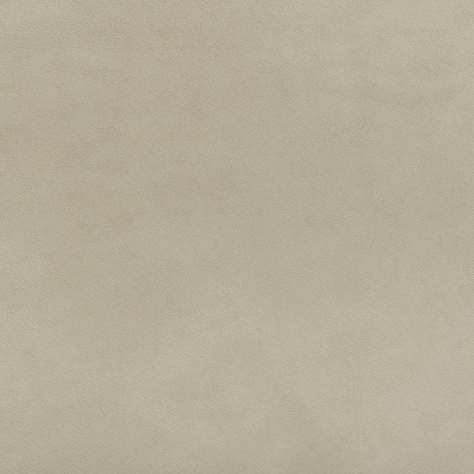 Zisu+Samples_September+2020-5660_6.1_v2.jpg
