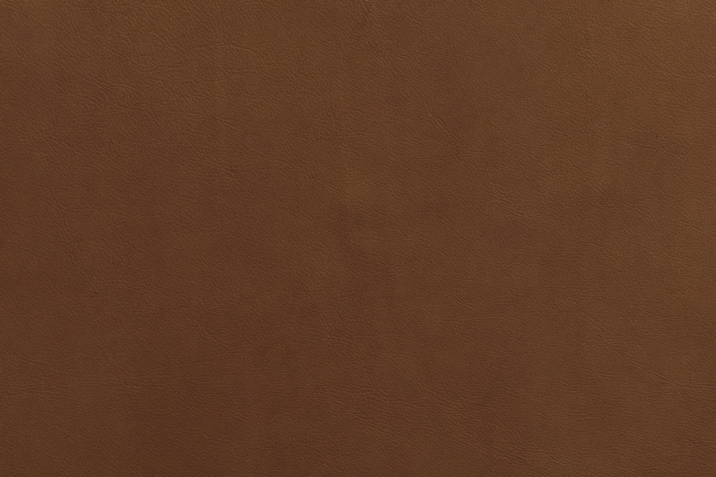 WHAM - Home Brew | WHA-06