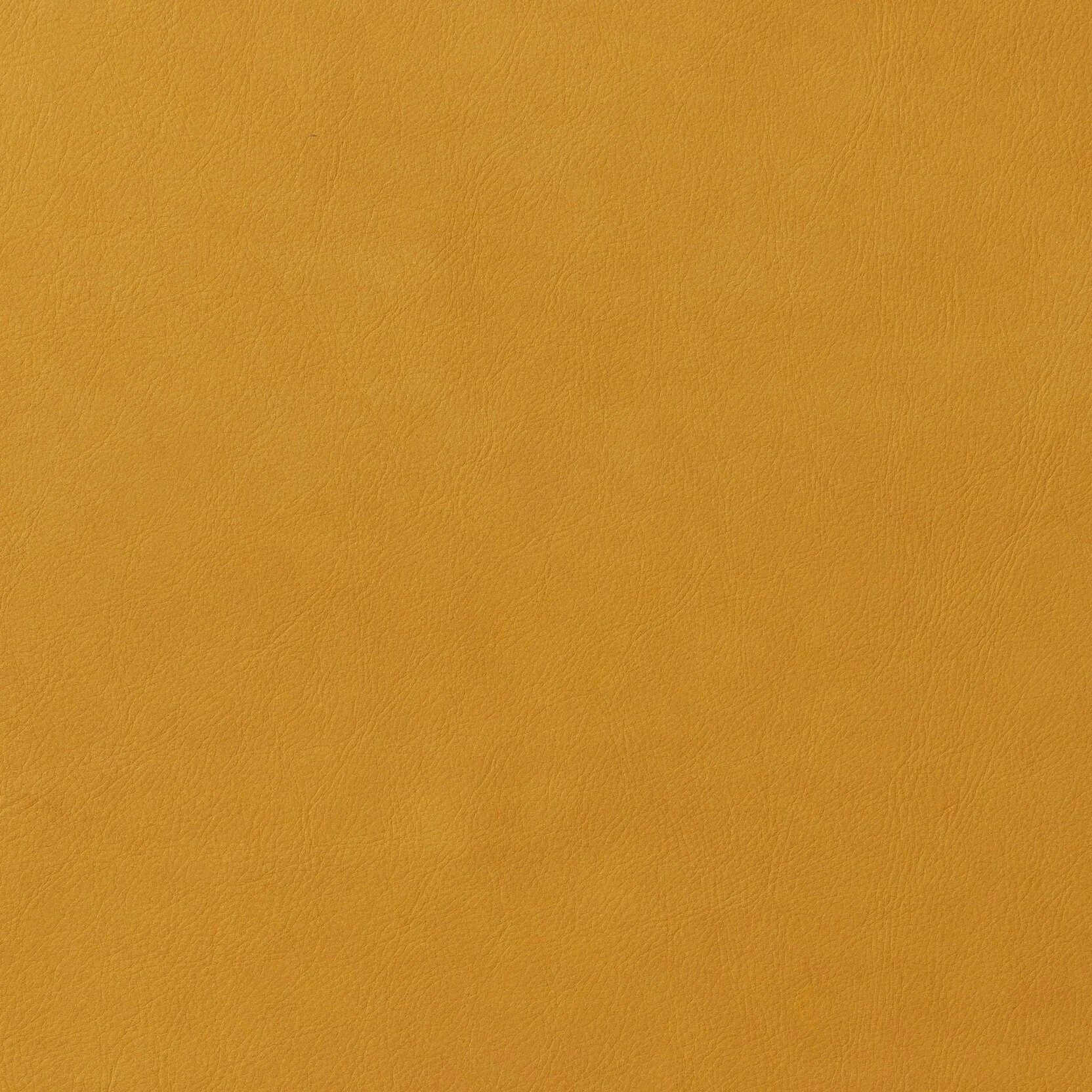 Zisu+Samples_September+2020-5639_6.4_v2.jpg