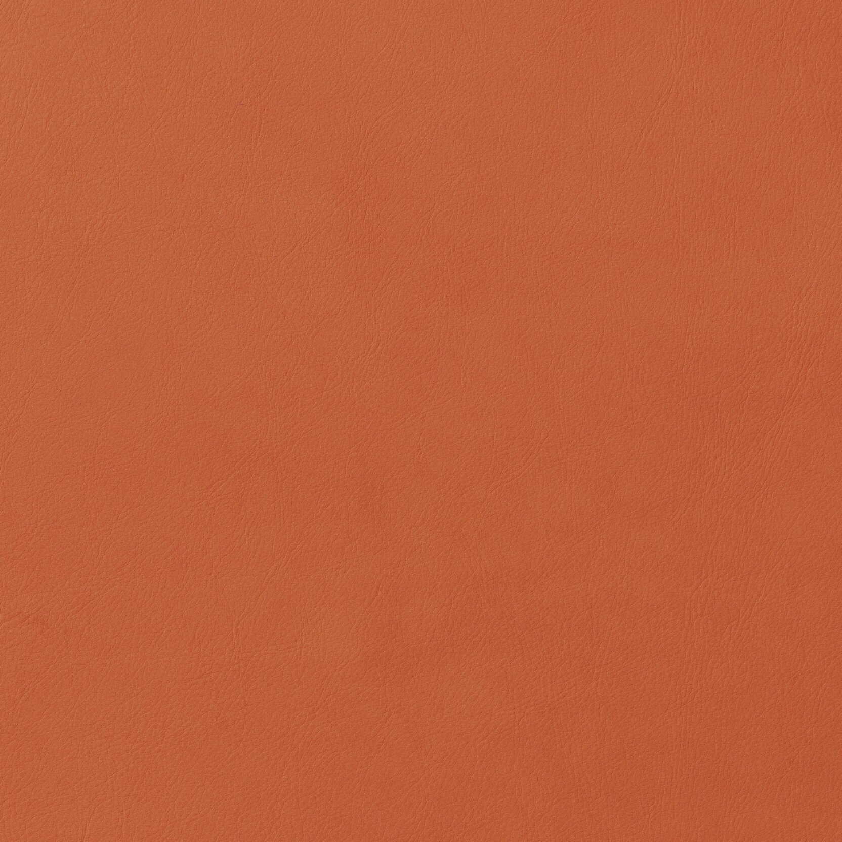 Zisu+Samples_September+2020-5639_6.5_v2.jpg
