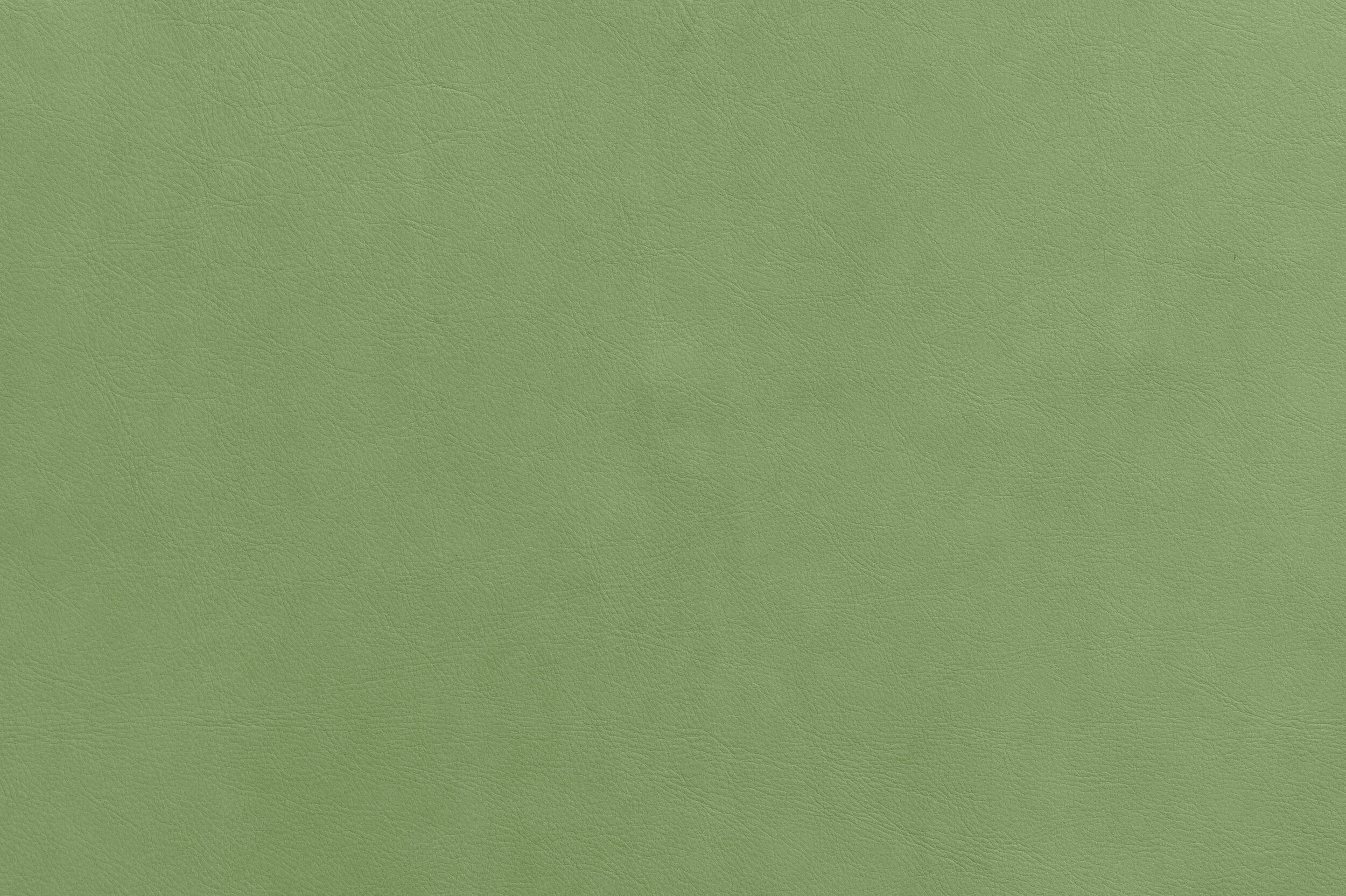 WHAM - Pick Up Lime | WHA-07