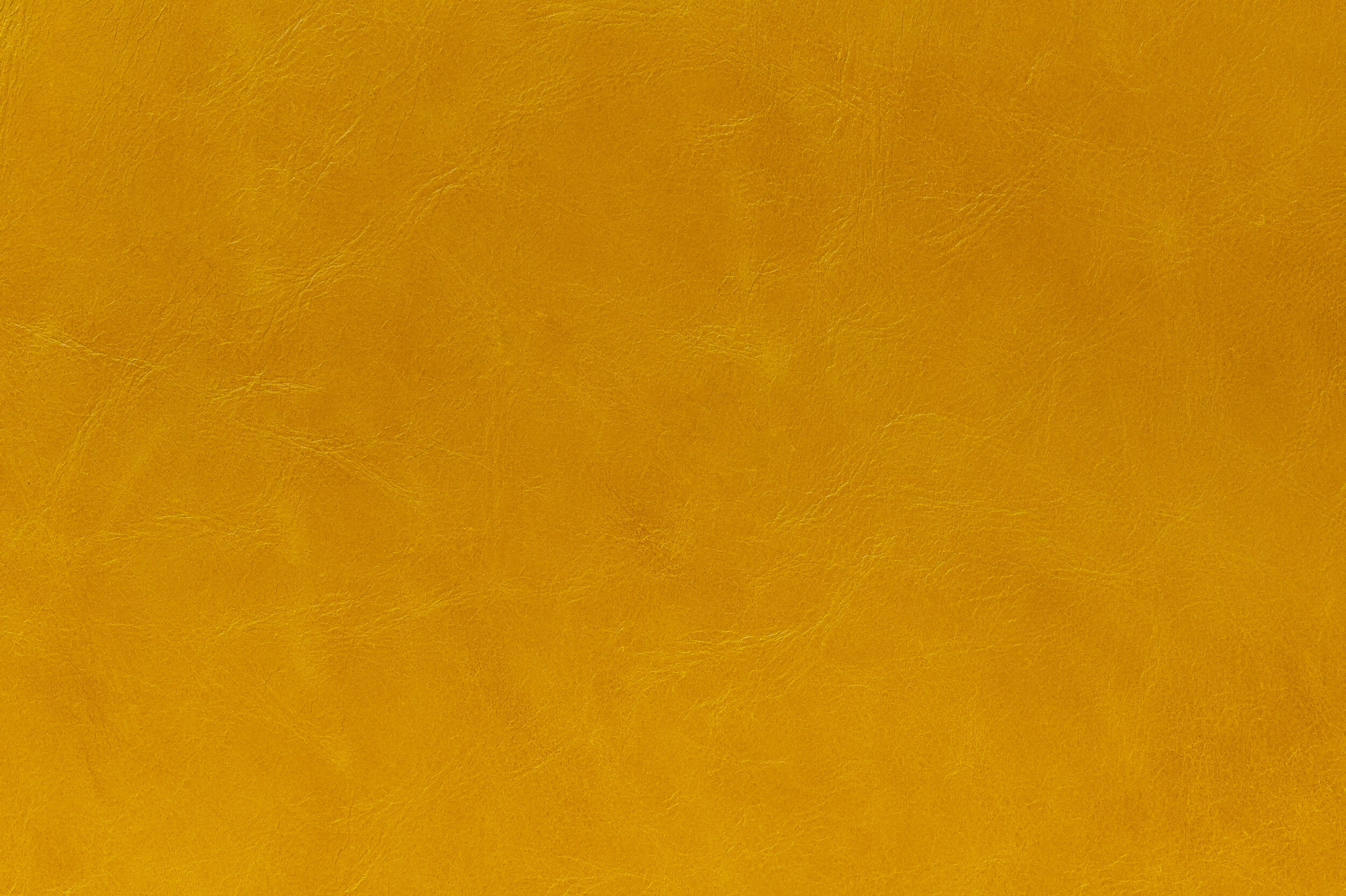 POP - Keen As Mustard | POP-08