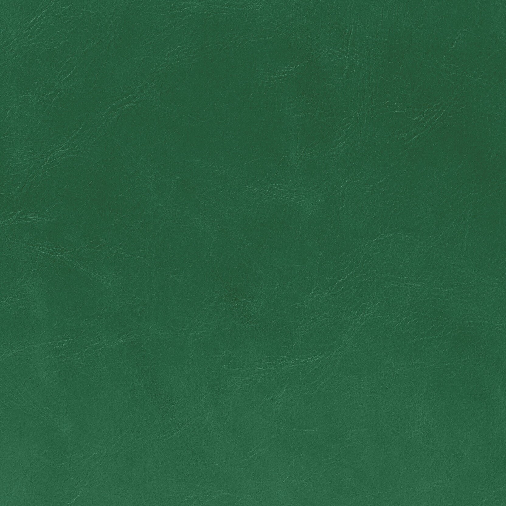Zisu+Samples_September+2020-5627_7.8_v2.jpg