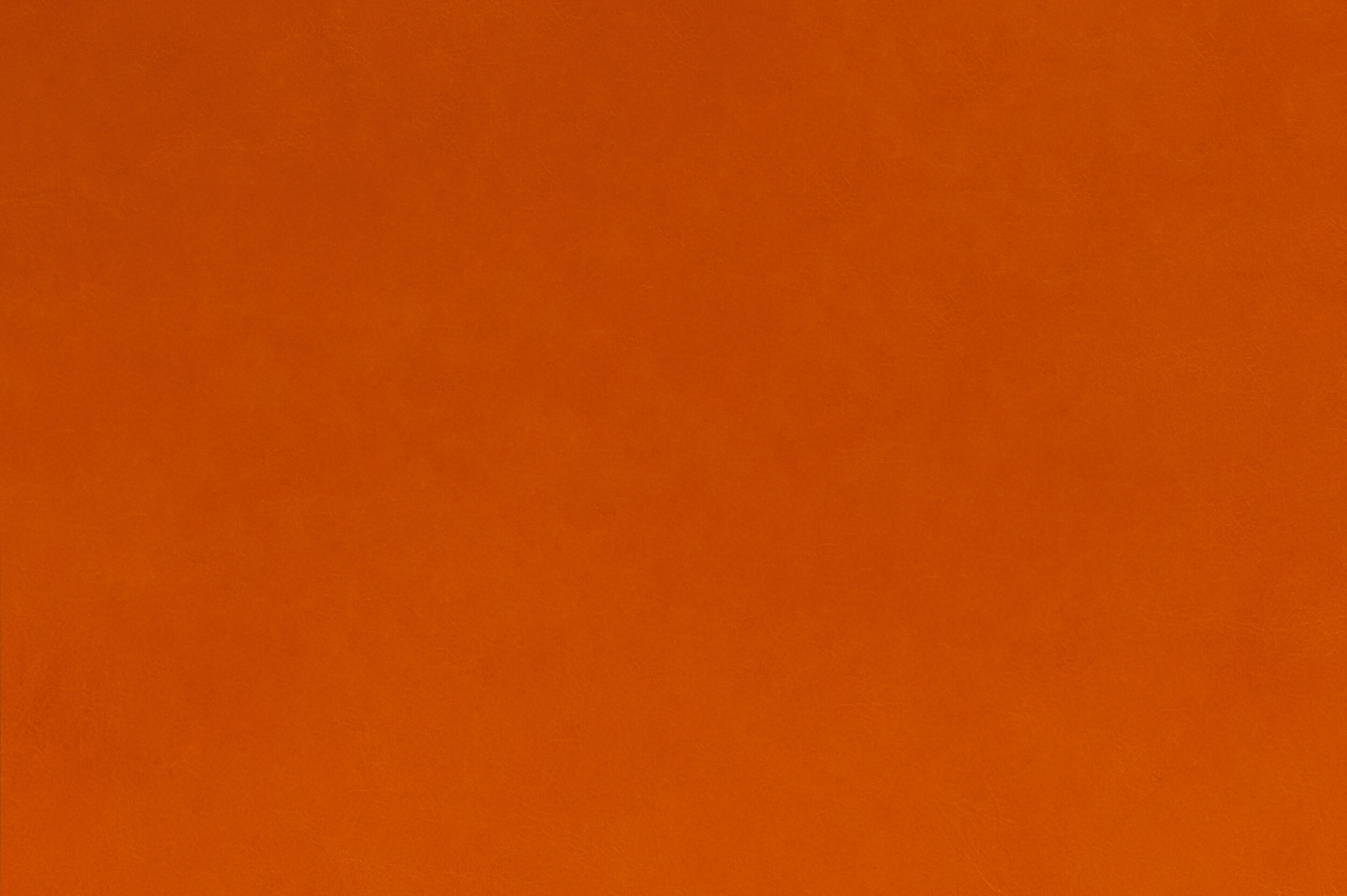 POP - Sweet Clementine | POP-06 